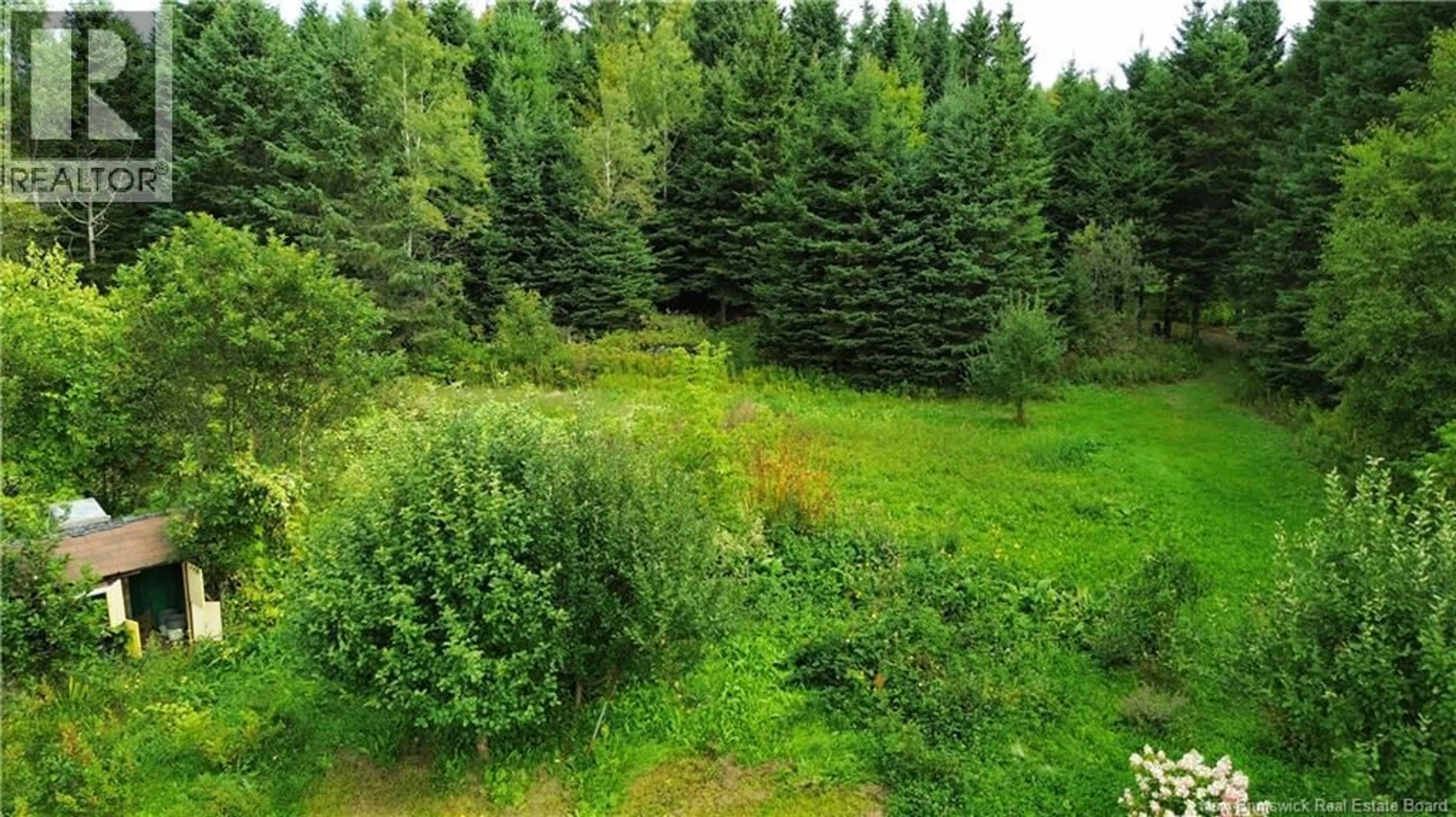 A pic from outside/outdoor area/front of a property/back of a property/a pic from drone, forest/trees view for 2943 RTE 120, St-Hilaire New Brunswick E3V4T7