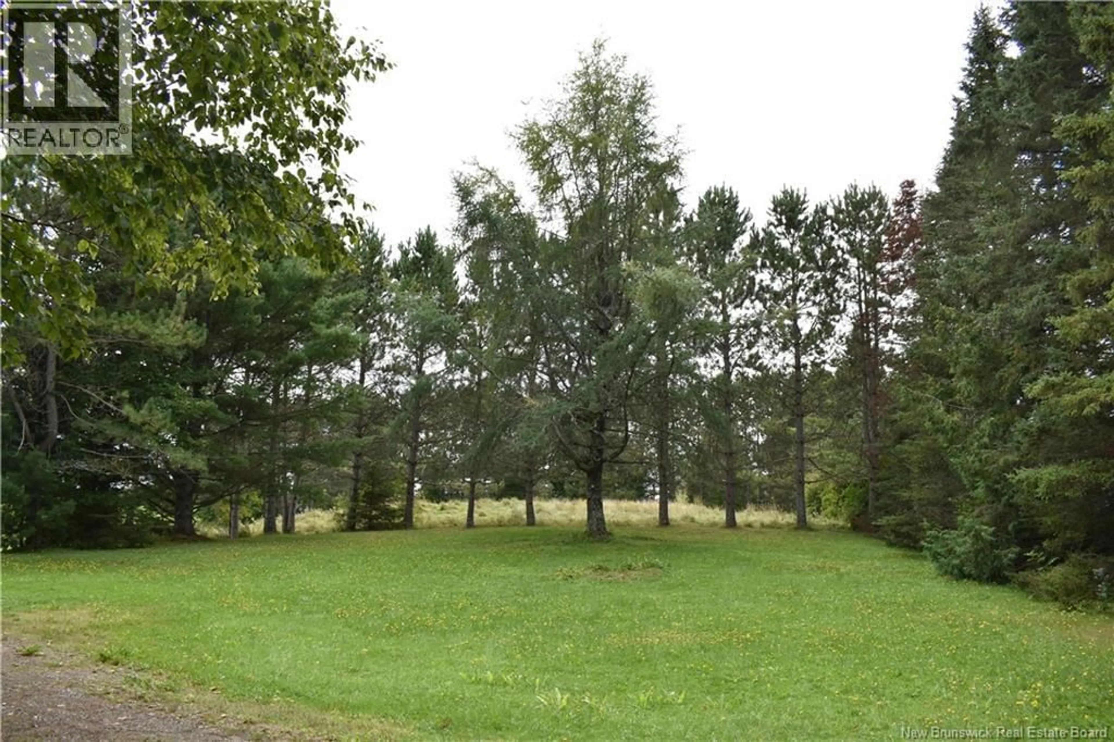 A pic from outside/outdoor area/front of a property/back of a property/a pic from drone, forest/trees view for 491 ROSEDALE, Rosedale New Brunswick E7M3T8