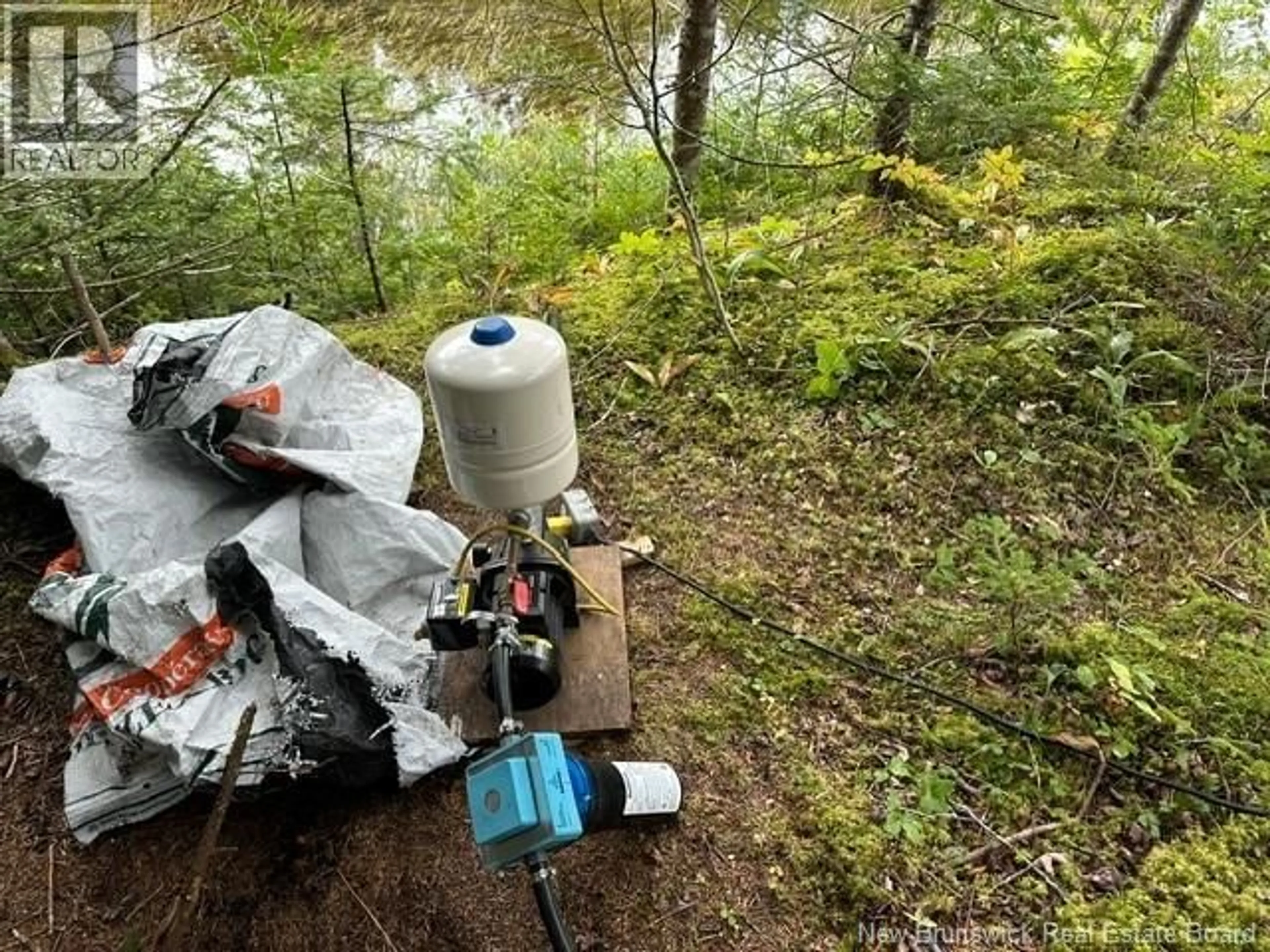 A pic of a room for 25 MASON LANE, Pennfield New Brunswick E5H2S3