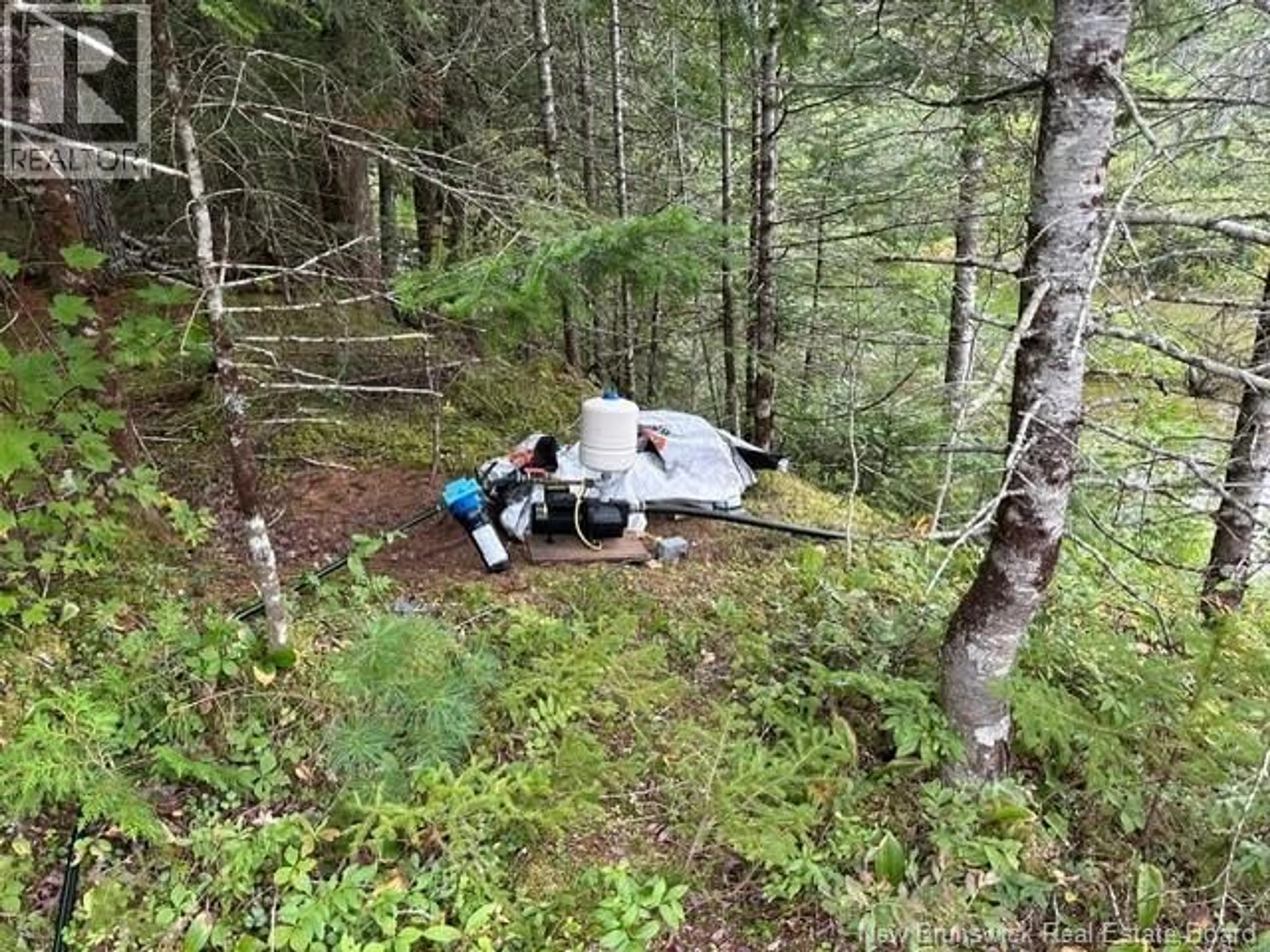 A pic of a room for 25 MASON LANE, Pennfield New Brunswick E5H2S3