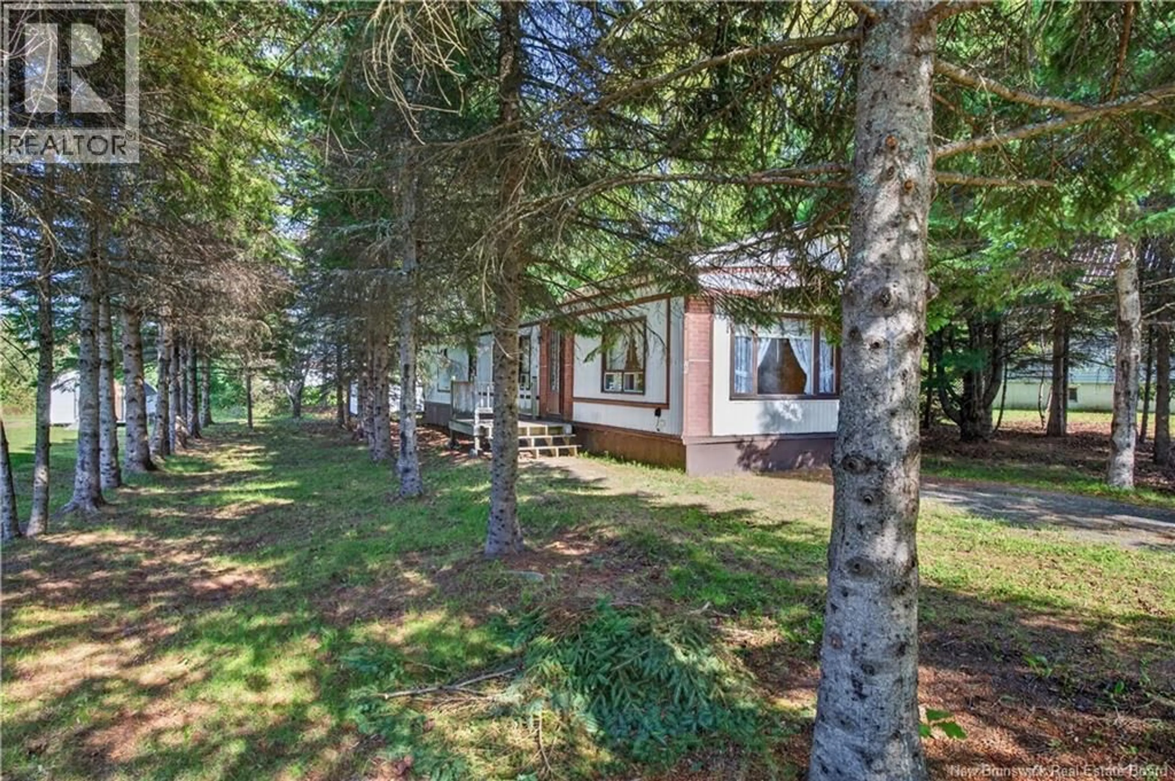A pic from outside/outdoor area/front of a property/back of a property/a pic from drone, forest/trees view for 20 KNOX STREET, Miramichi New Brunswick E1N4K1