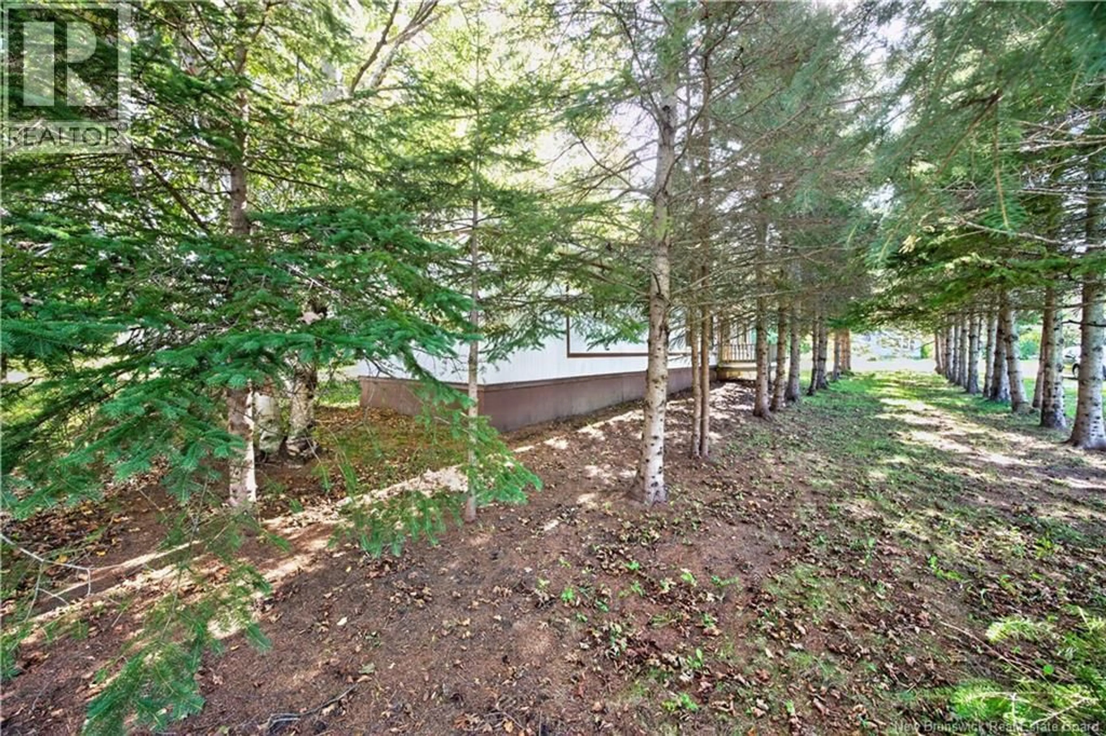 Patio, forest/trees view for 20 KNOX STREET, Miramichi New Brunswick E1N4K1