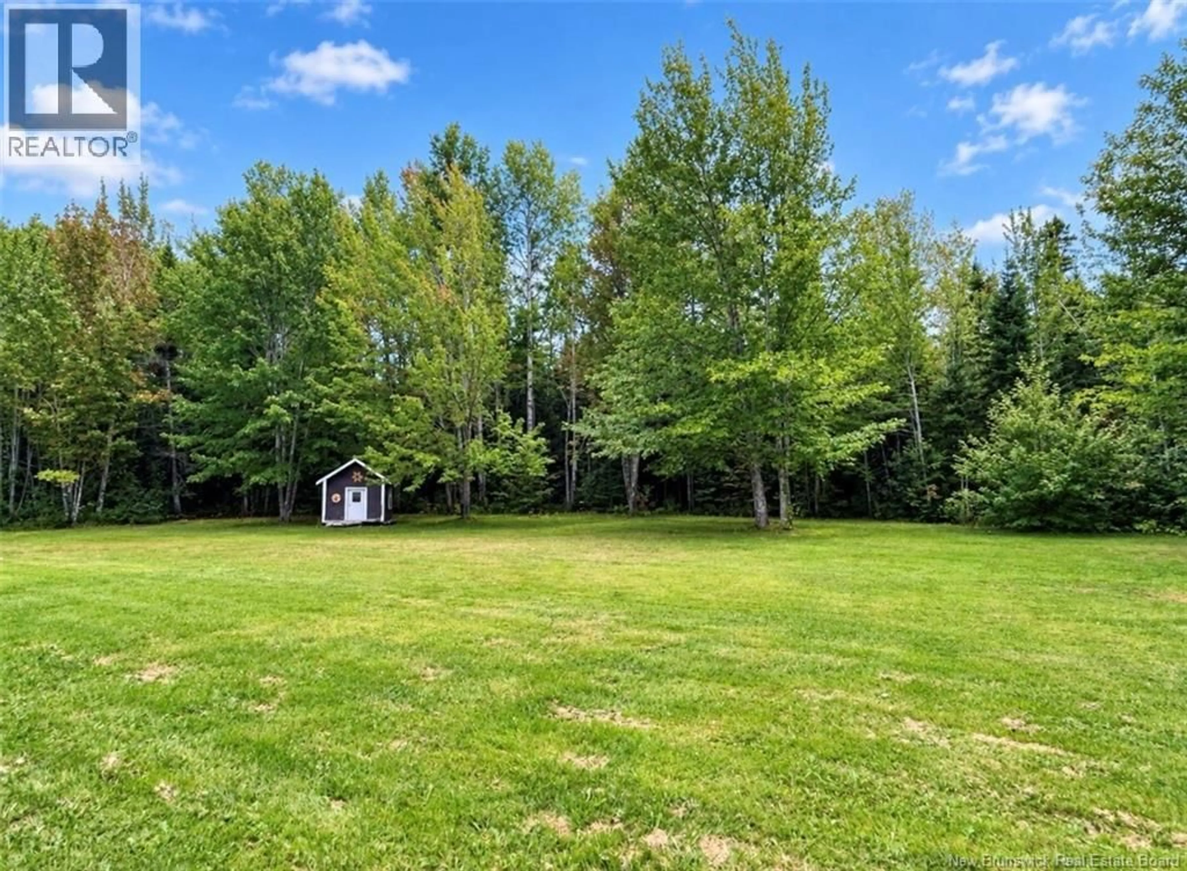 A pic from outside/outdoor area/front of a property/back of a property/a pic from drone, forest/trees view for 8789 ROUTE 117, Napan New Brunswick E1N4Y7