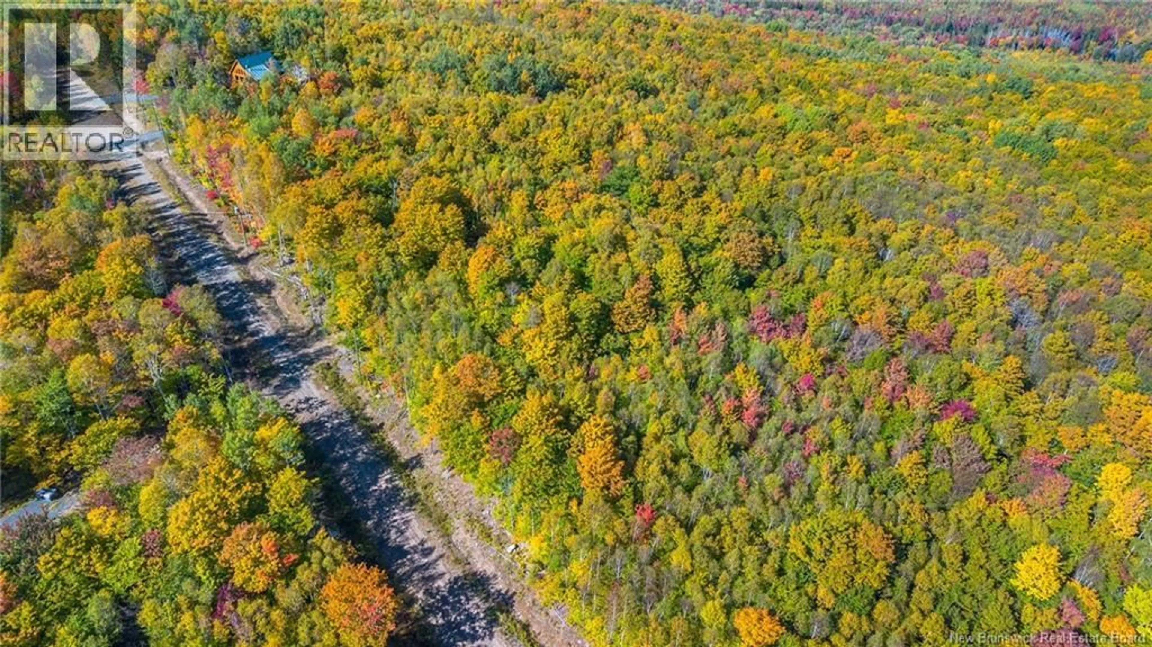 A pic from outside/outdoor area/front of a property/back of a property/a pic from drone, forest/trees view for 0 RAVEN RIDGE ROAD, Central Hainesville New Brunswick E6E1E3