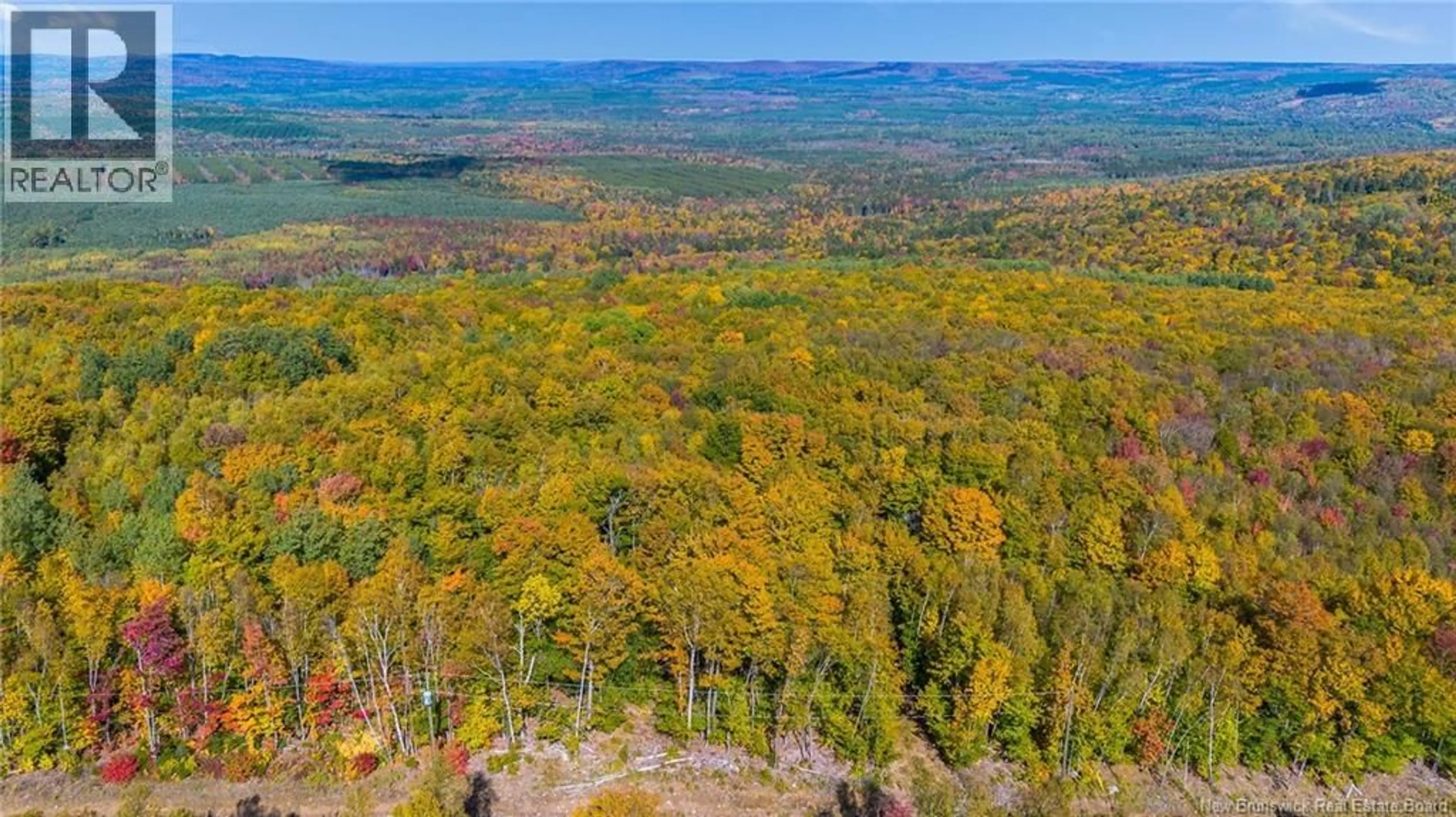 A pic from outside/outdoor area/front of a property/back of a property/a pic from drone, forest/trees view for 0 RAVEN RIDGE ROAD, Central Hainesville New Brunswick E6E1E3