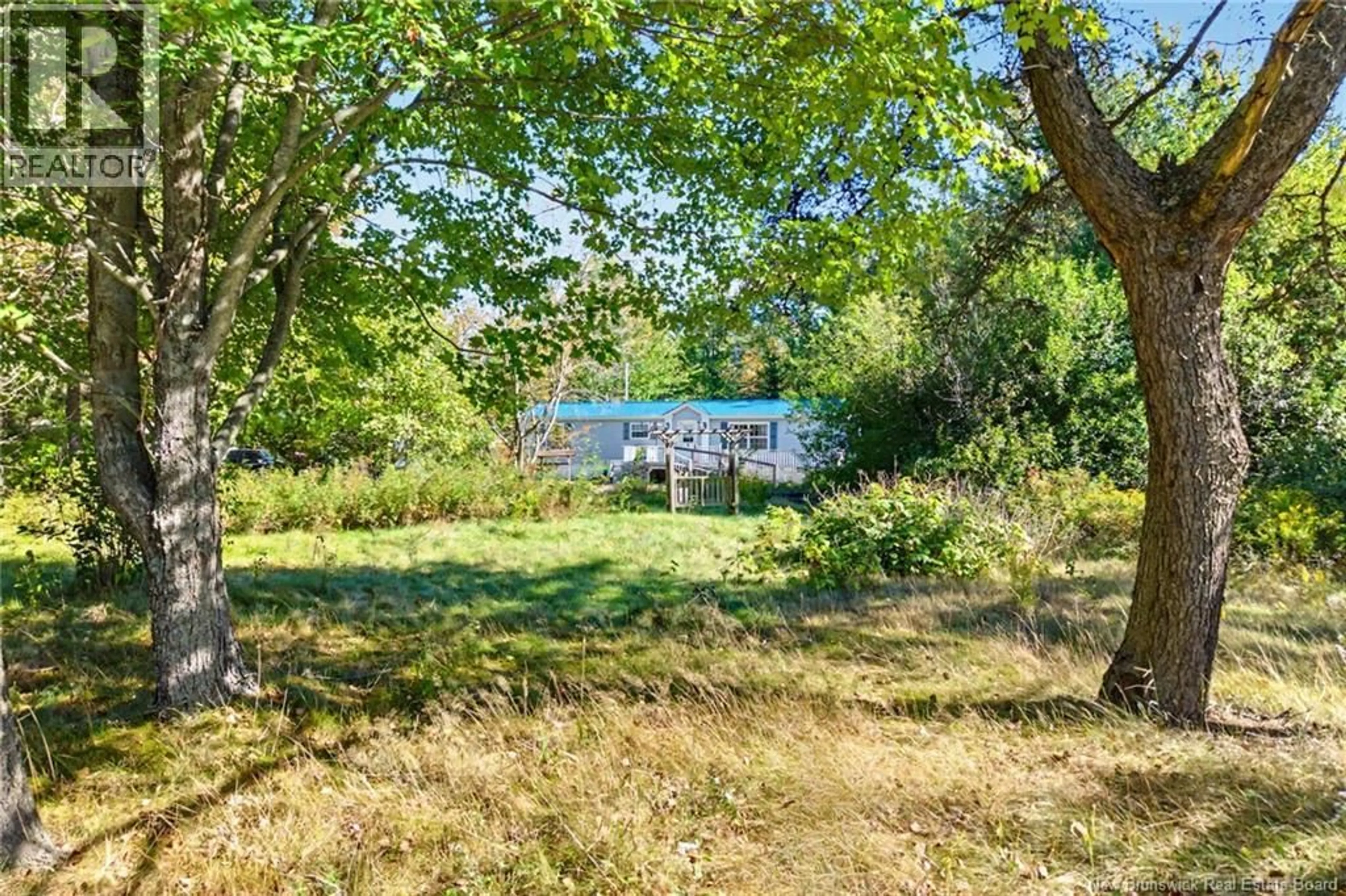 A pic from outside/outdoor area/front of a property/back of a property/a pic from drone, forest/trees view for 7689 ROUTE 10, Coal Creek New Brunswick E4A2S4
