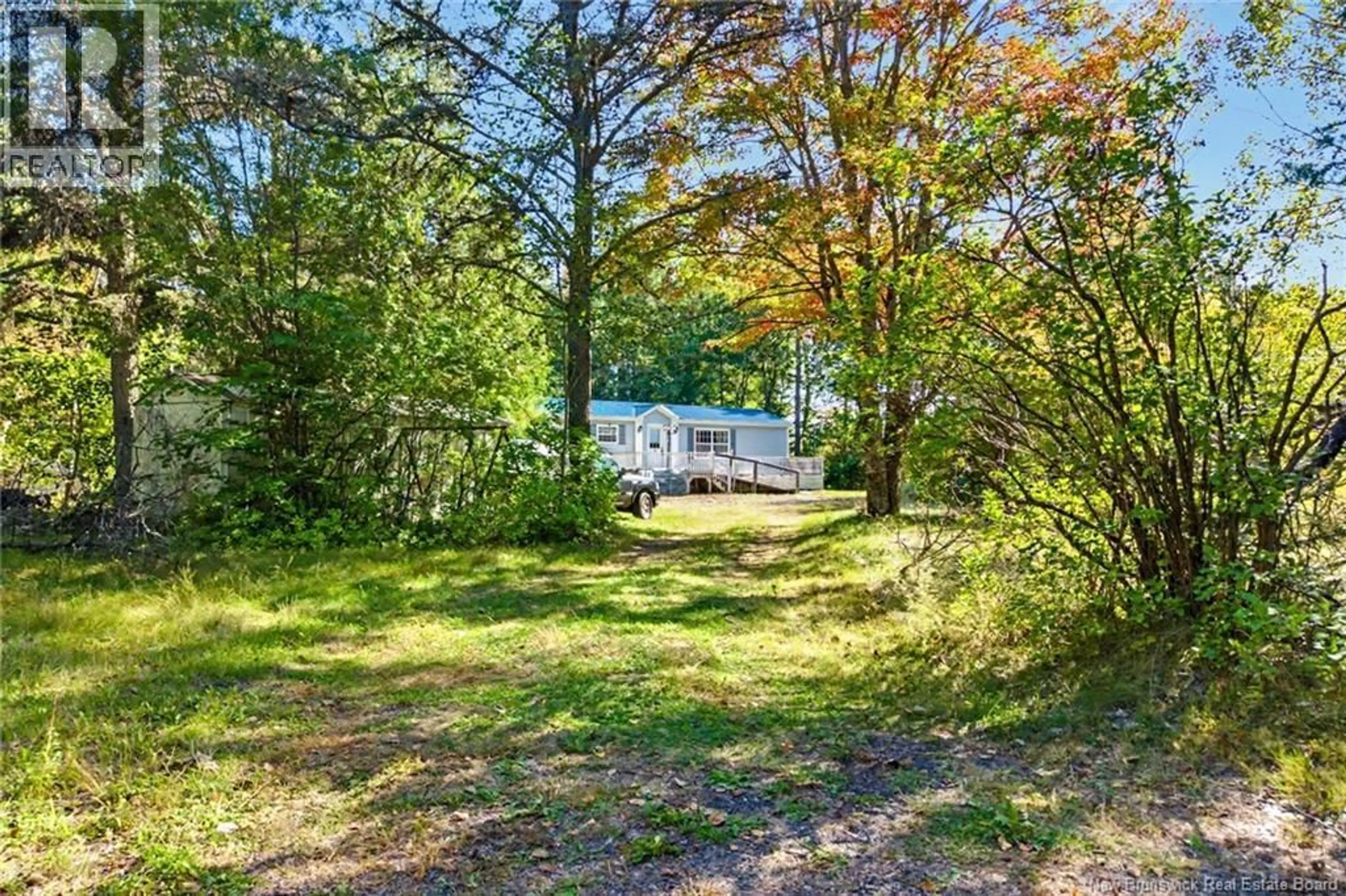A pic from outside/outdoor area/front of a property/back of a property/a pic from drone, forest/trees view for 7689 ROUTE 10, Coal Creek New Brunswick E4A2S4