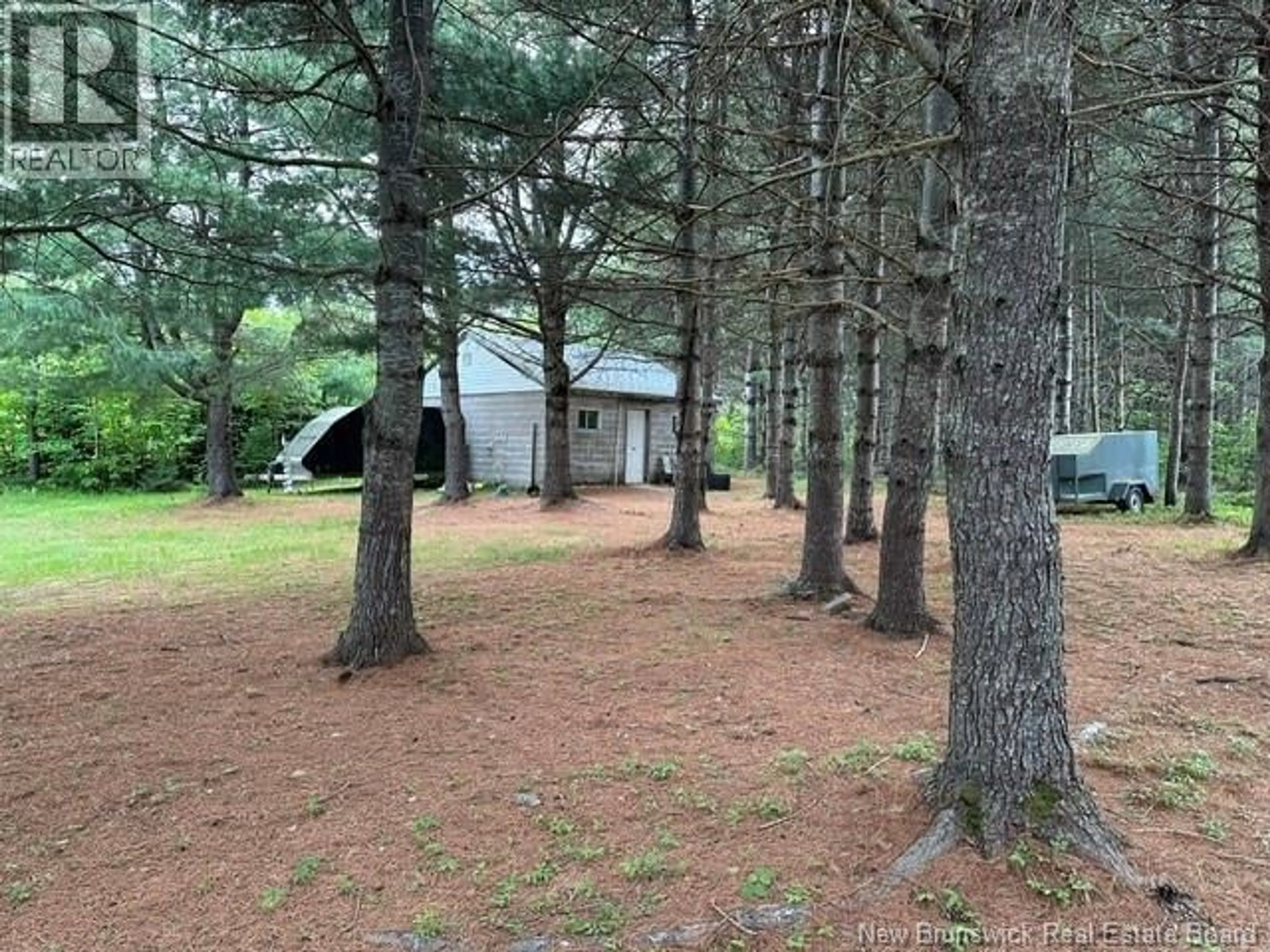A pic from outside/outdoor area/front of a property/back of a property/a pic from drone, forest/trees view for 261 ROUTE 11, Lower Newcastle New Brunswick E1V7E7