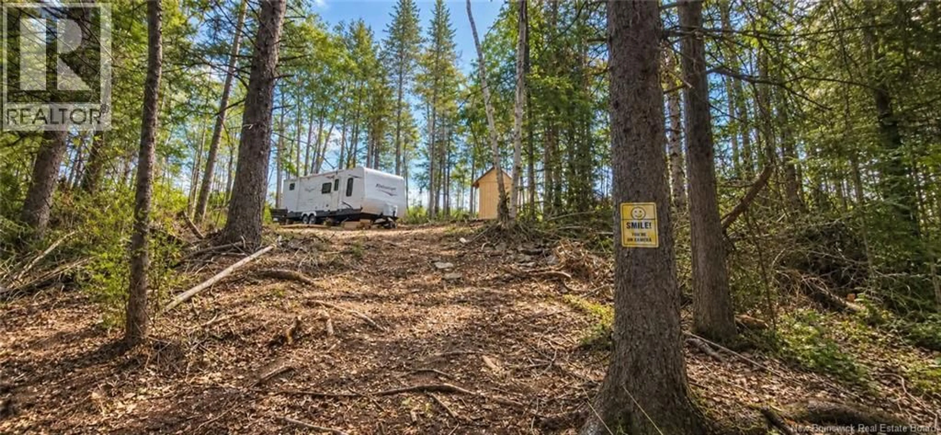 A pic from outside/outdoor area/front of a property/back of a property/a pic from drone, forest/trees view for 412 ROUTE 695, Whites Cove New Brunswick E4C2B7