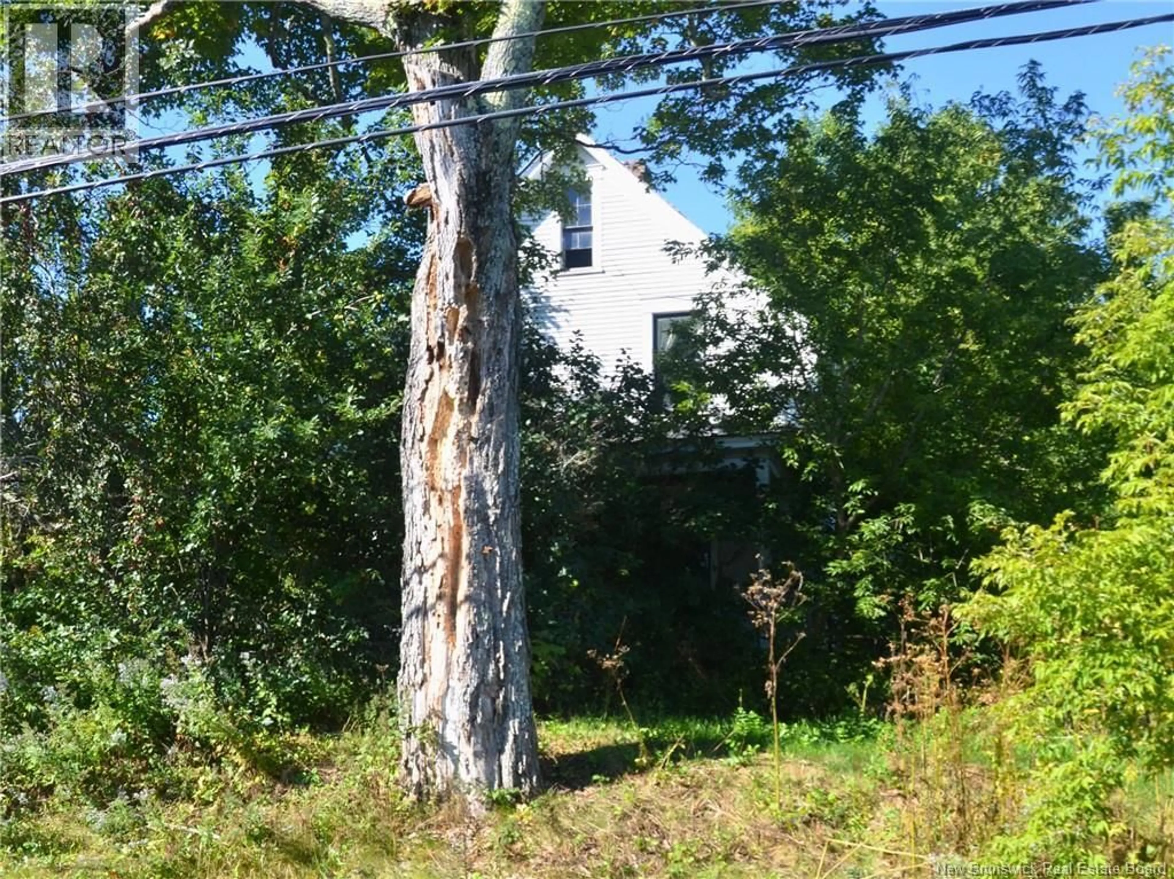 Shed for 2697 ROUTE 103, Somerville New Brunswick E7P3A6