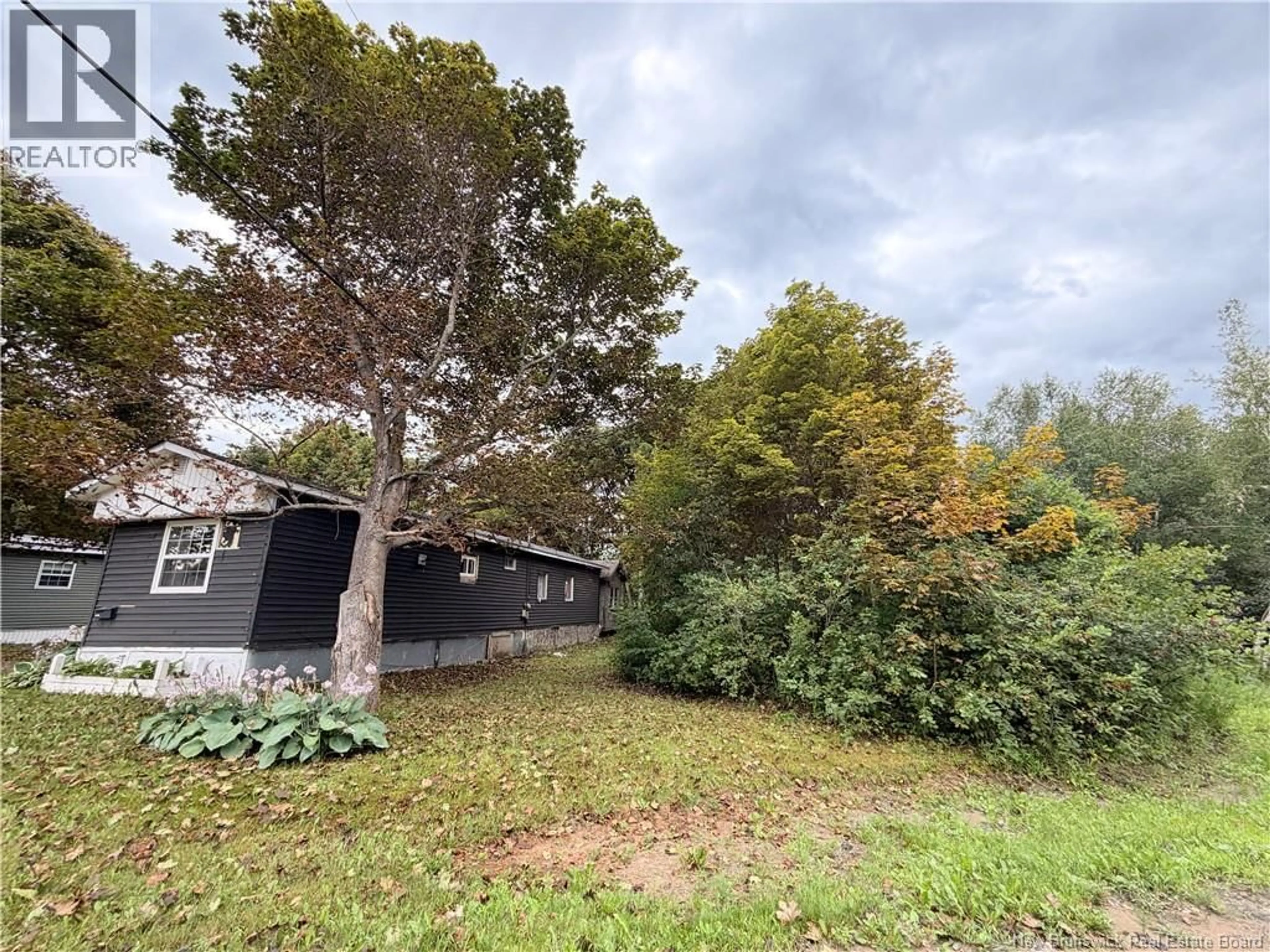 A pic from outside/outdoor area/front of a property/back of a property/a pic from drone, forest/trees view for 36 BRADD STREET, Miramichi New Brunswick E1N3A9