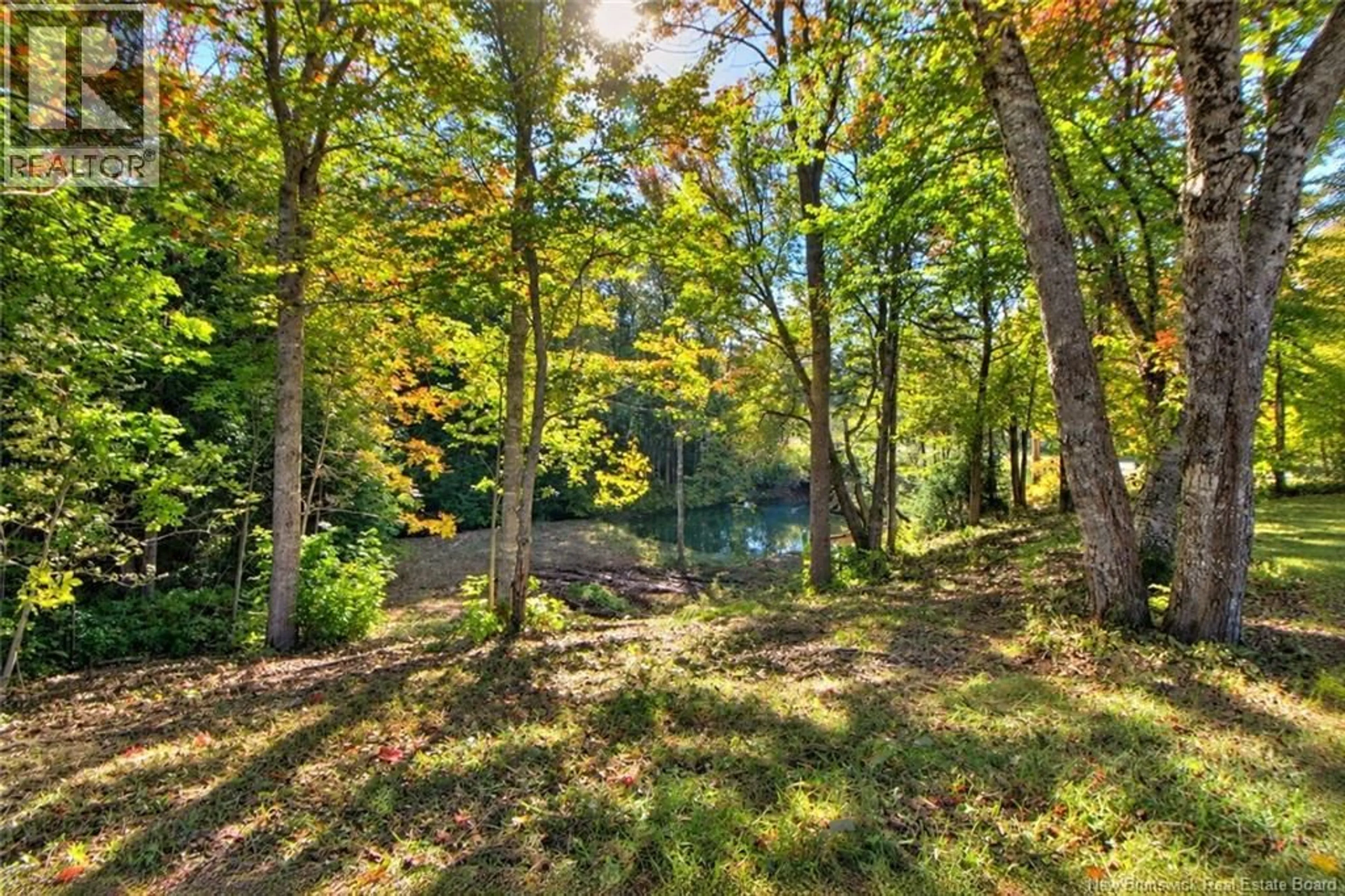 A pic from outside/outdoor area/front of a property/back of a property/a pic from drone, forest/trees view for 4799 ROUTE 495, Balla Philip New Brunswick E4W3T4