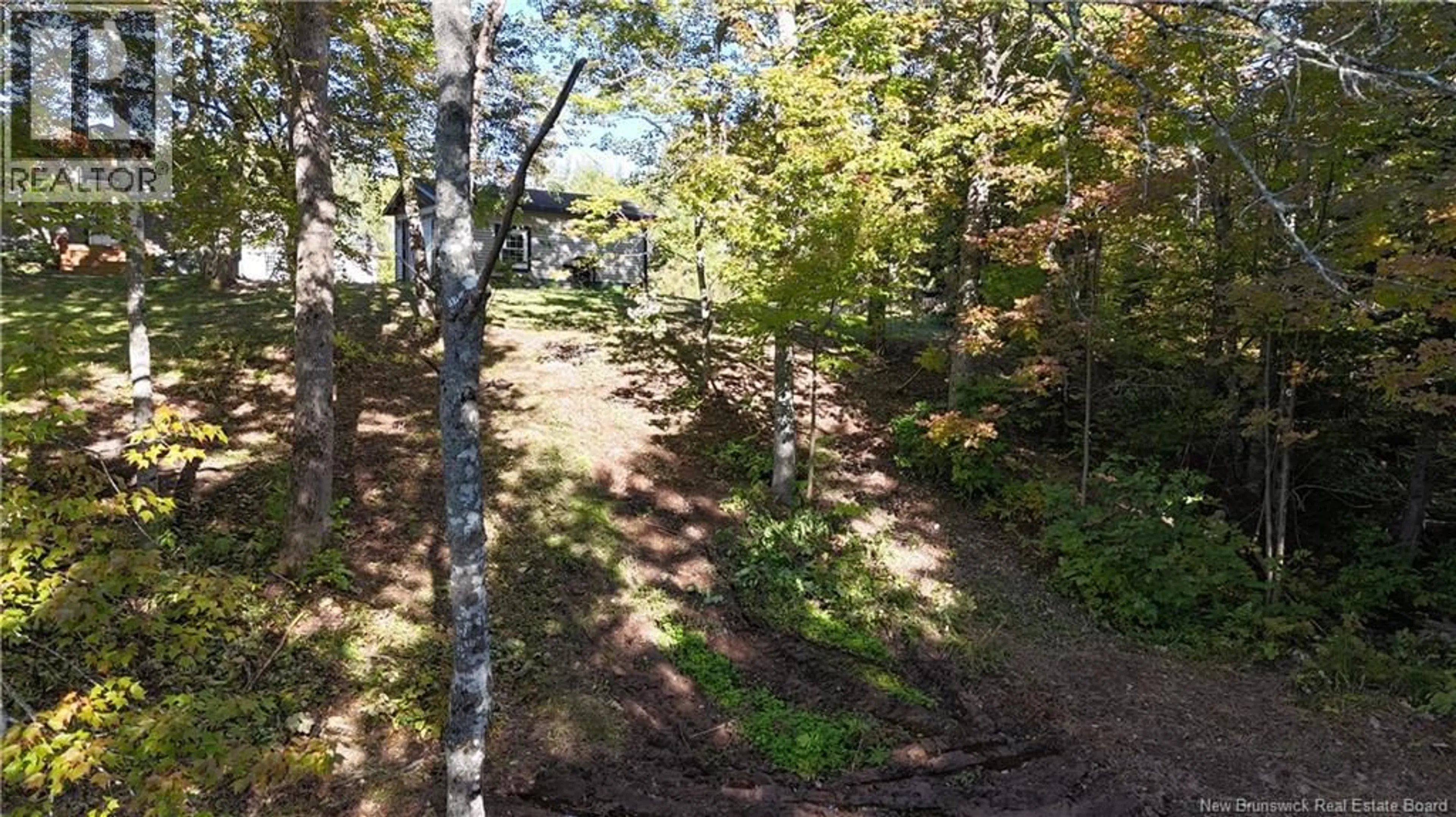 A pic from outside/outdoor area/front of a property/back of a property/a pic from drone, forest/trees view for 4799 ROUTE 495, Balla Philip New Brunswick E4W3T4