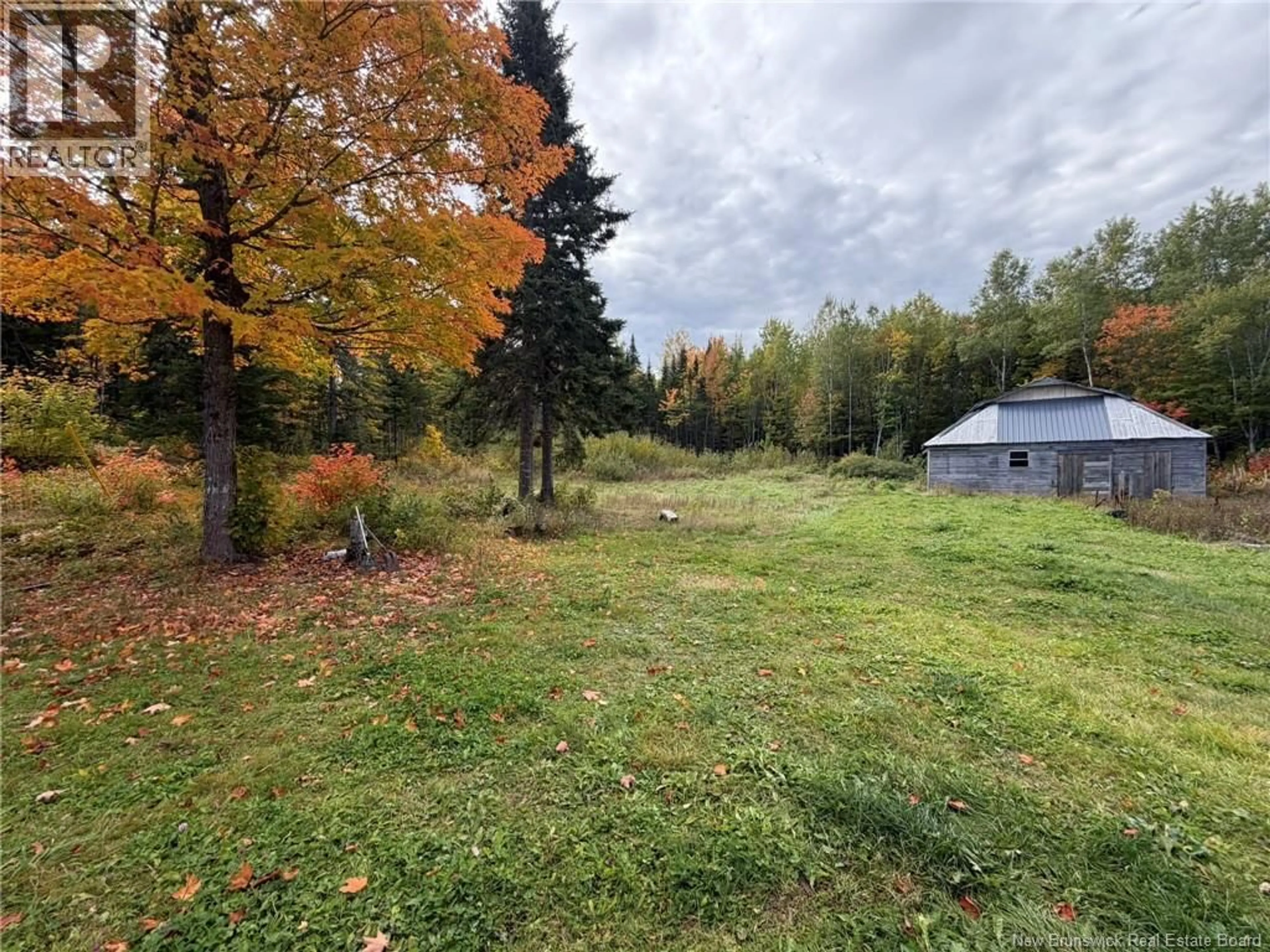 A pic from outside/outdoor area/front of a property/back of a property/a pic from drone, forest/trees view for 343 HILLTOP ROAD, Hilltop New Brunswick E9E1S3