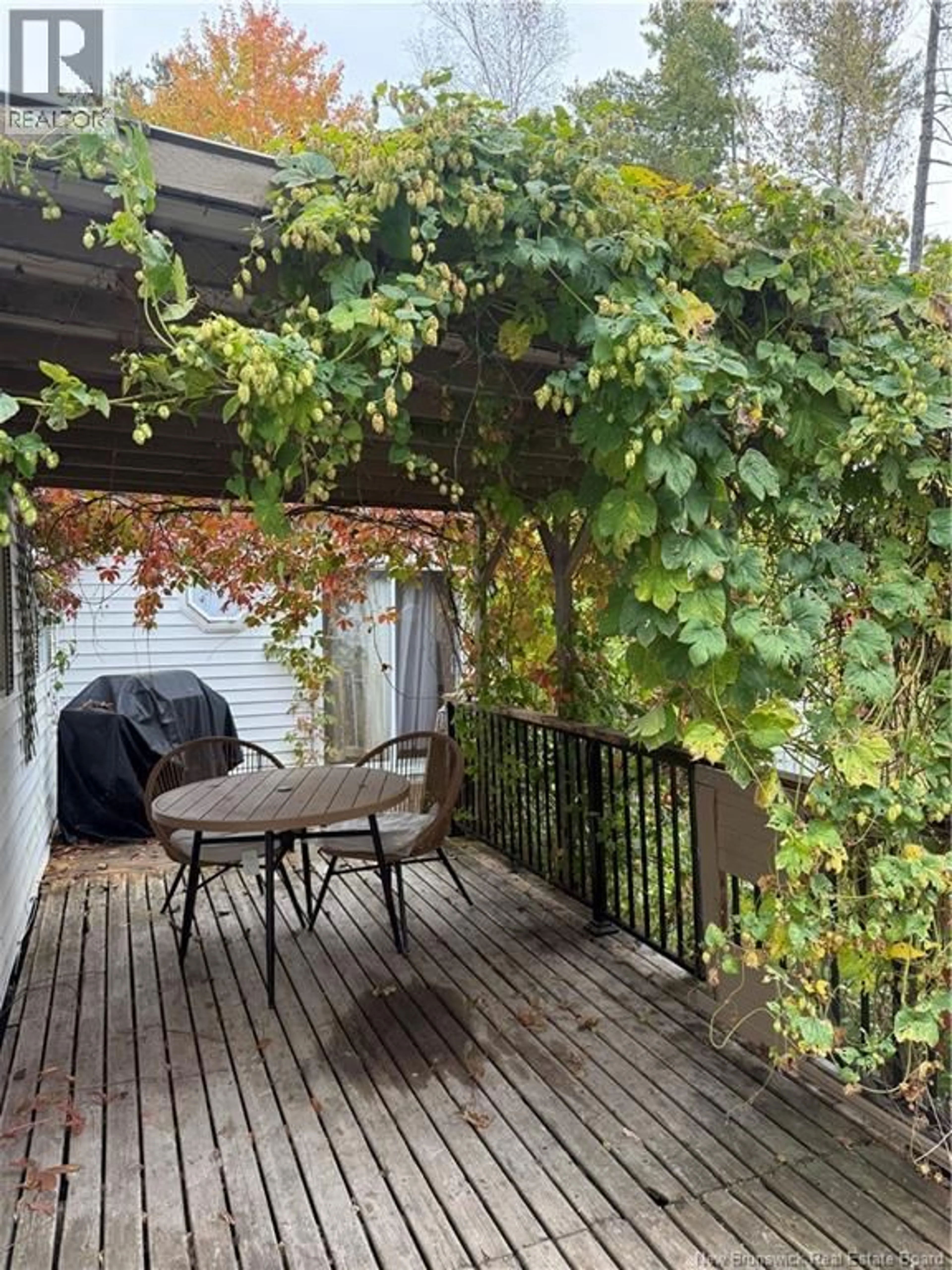 Patio, street for 1285 ROUTE 10, Noonan New Brunswick E3A7H7
