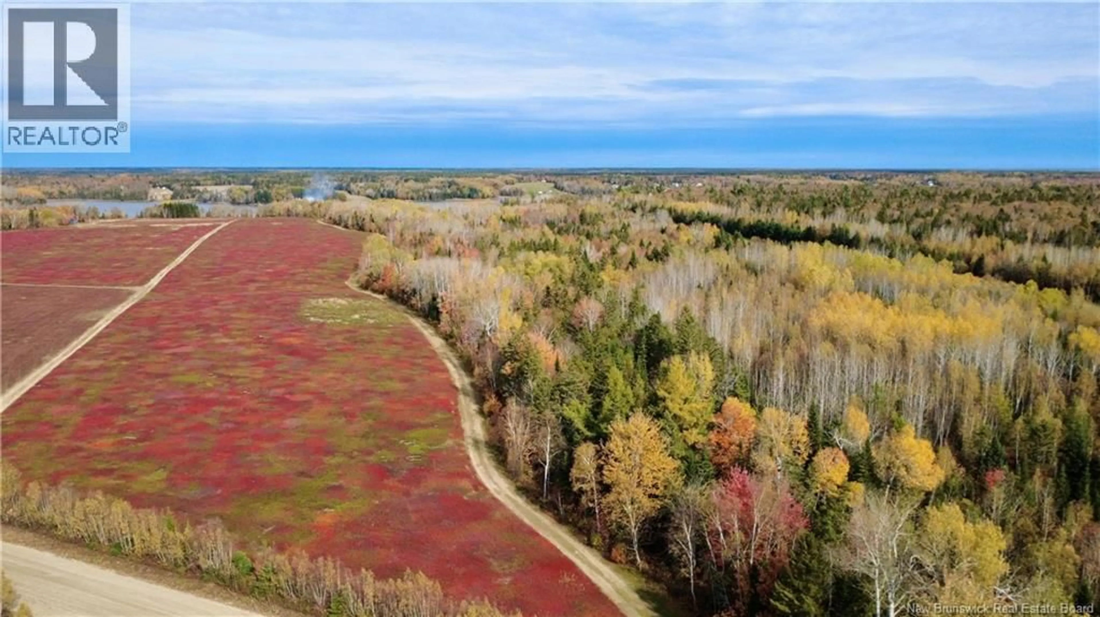 A pic from outside/outdoor area/front of a property/back of a property/a pic from drone, water/lake/river/ocean view for 31.7 ACRES STRAIGHT BROOK ROAD, Tabusintac New Brunswick E9H2B3