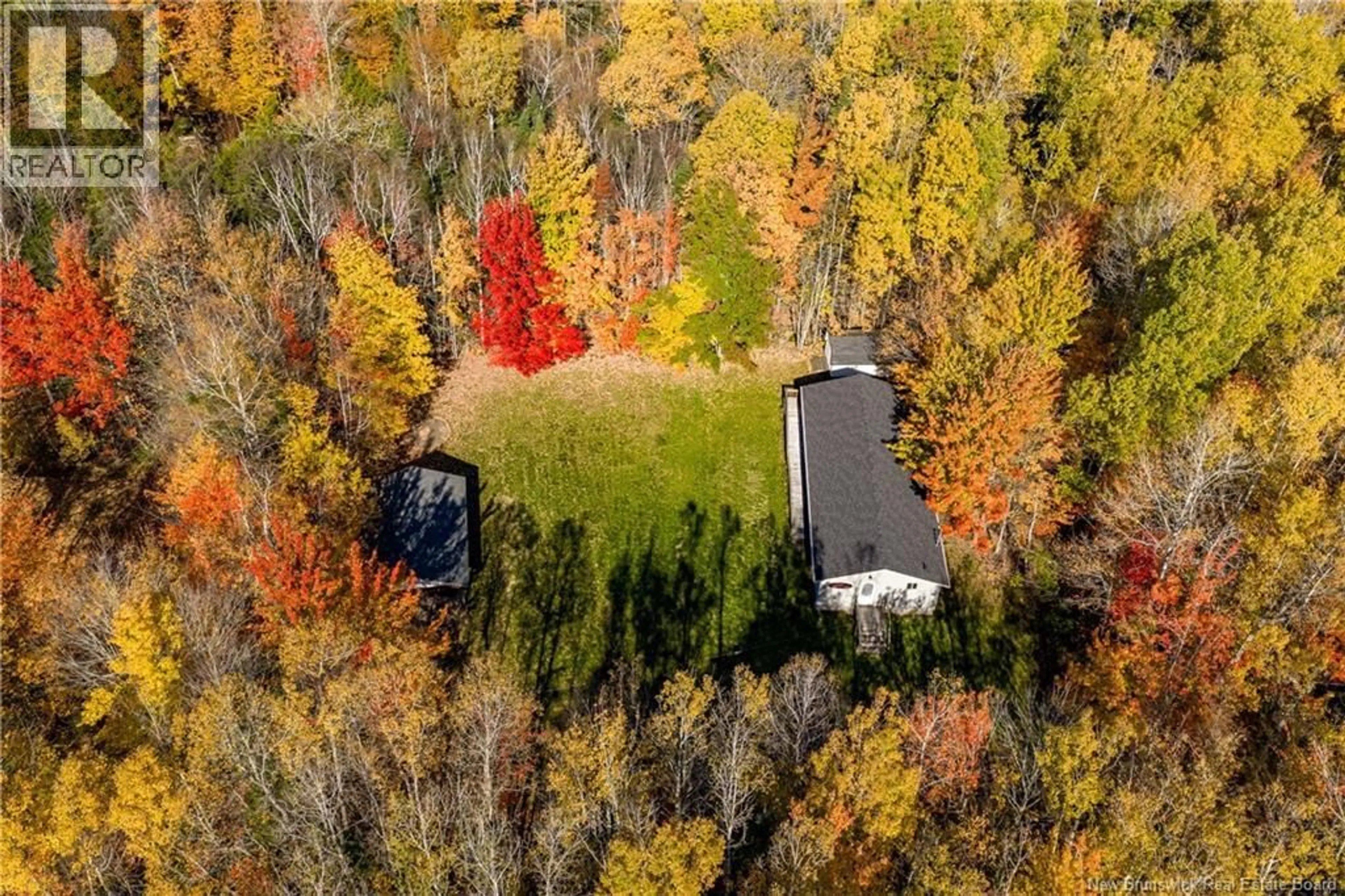 A pic from outside/outdoor area/front of a property/back of a property/a pic from drone, forest/trees view for 116 TEED ROAD, Notre-Dame New Brunswick E4V2L9