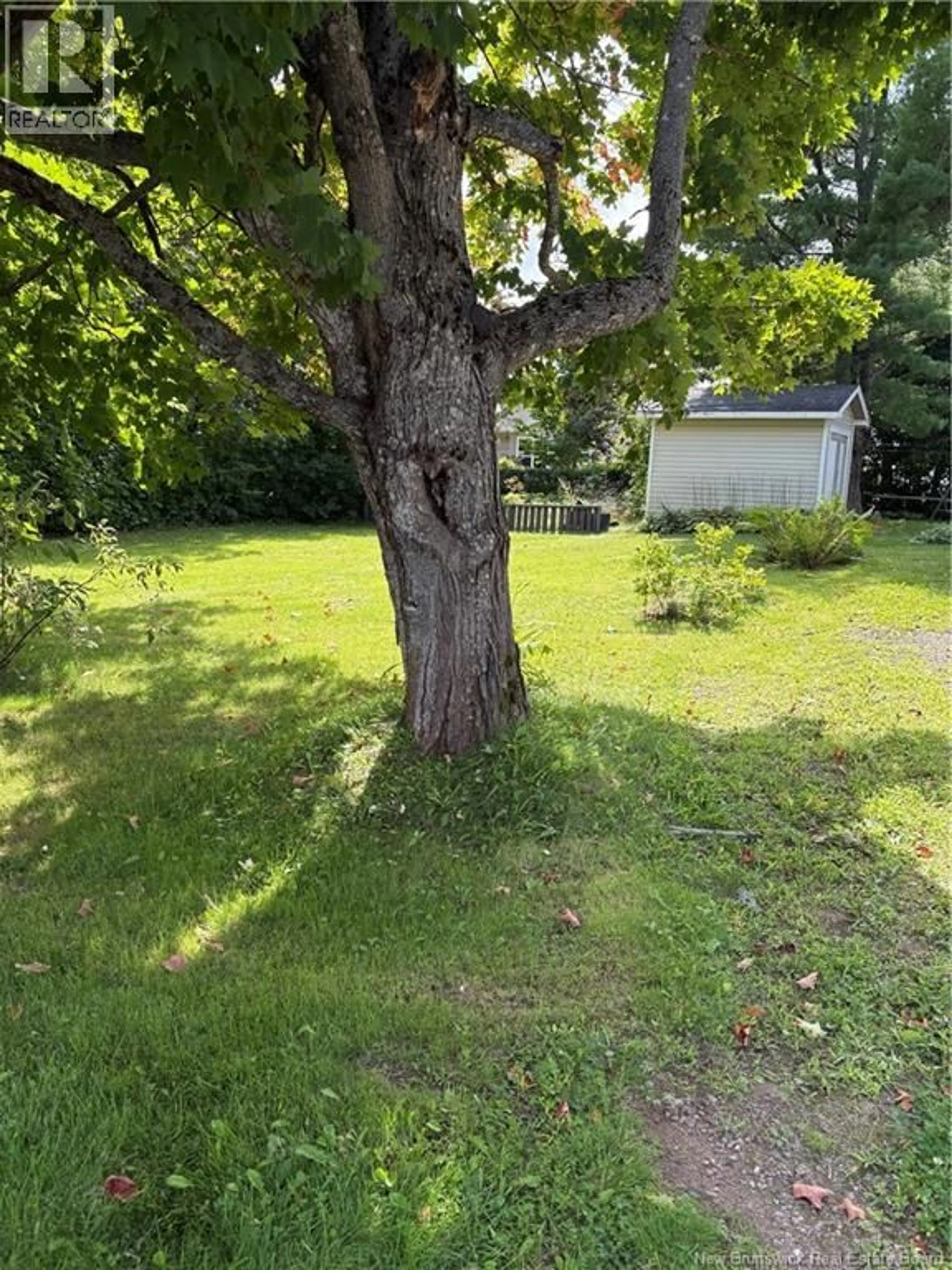 A pic from outside/outdoor area/front of a property/back of a property/a pic from drone, forest/trees view for 179 LEBLANC AVENUE, Shediac New Brunswick E4P1Y6