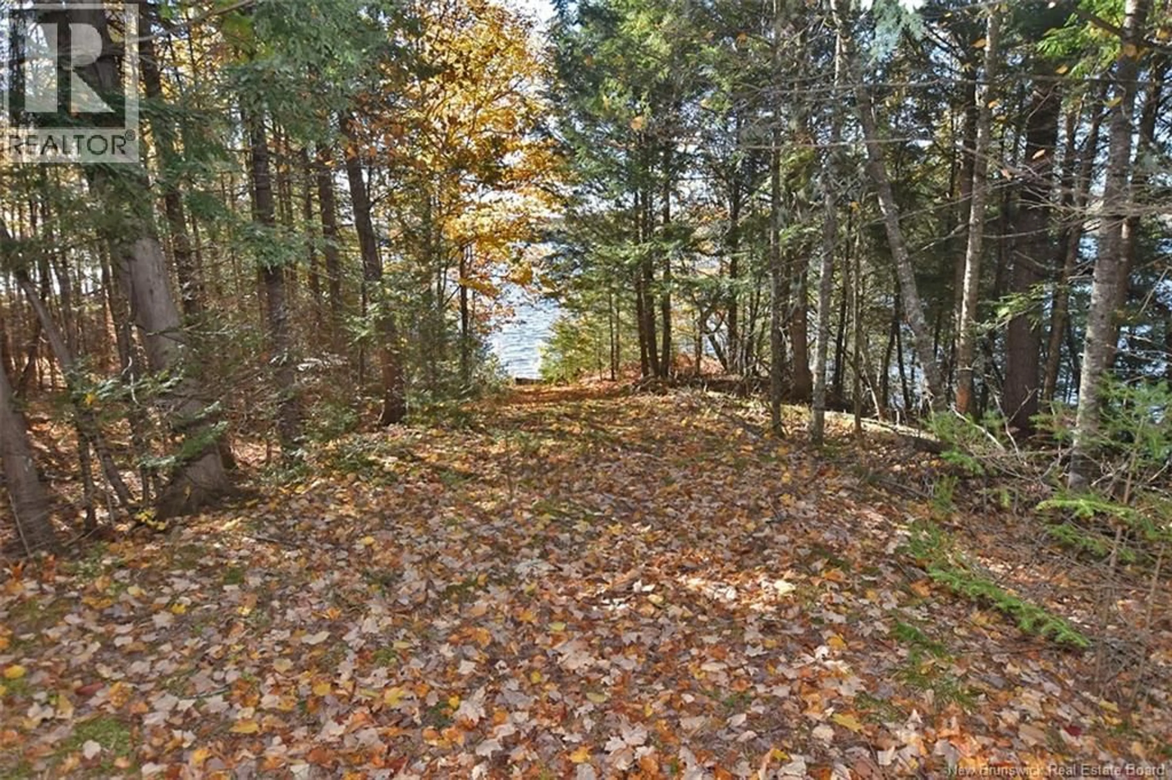 A pic from outside/outdoor area/front of a property/back of a property/a pic from drone, forest/trees view for 124 HEADPOND LANE, Keswick Ridge New Brunswick E6L0B5