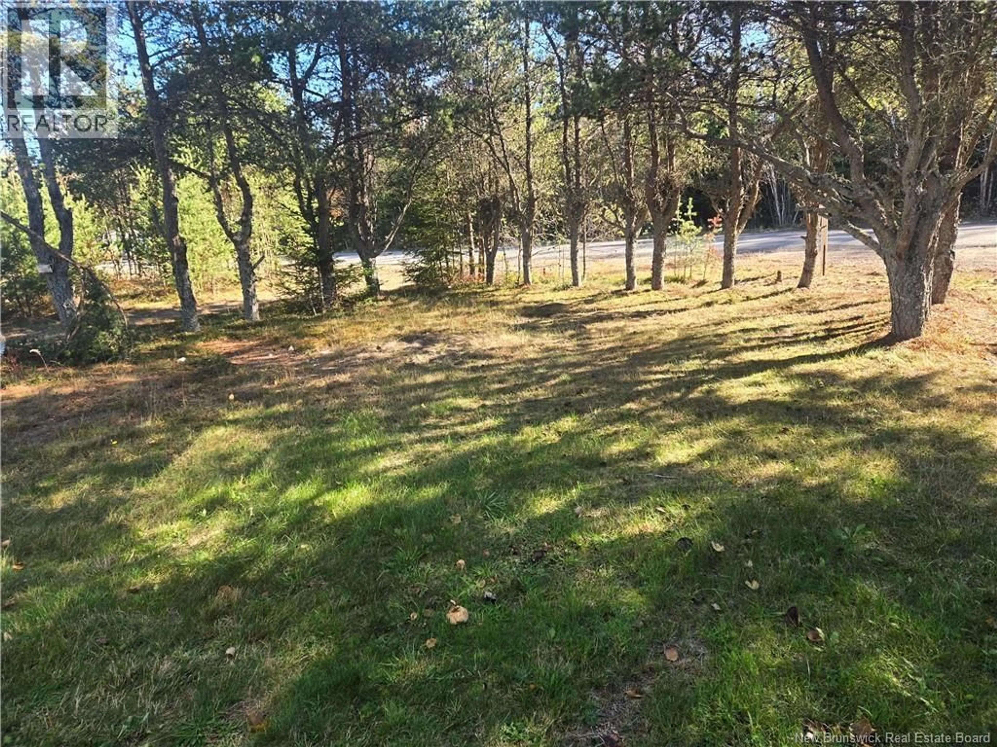 A pic from outside/outdoor area/front of a property/back of a property/a pic from drone, forest/trees view for 4 HILLCREST COURT, Utopia New Brunswick E5C2G5