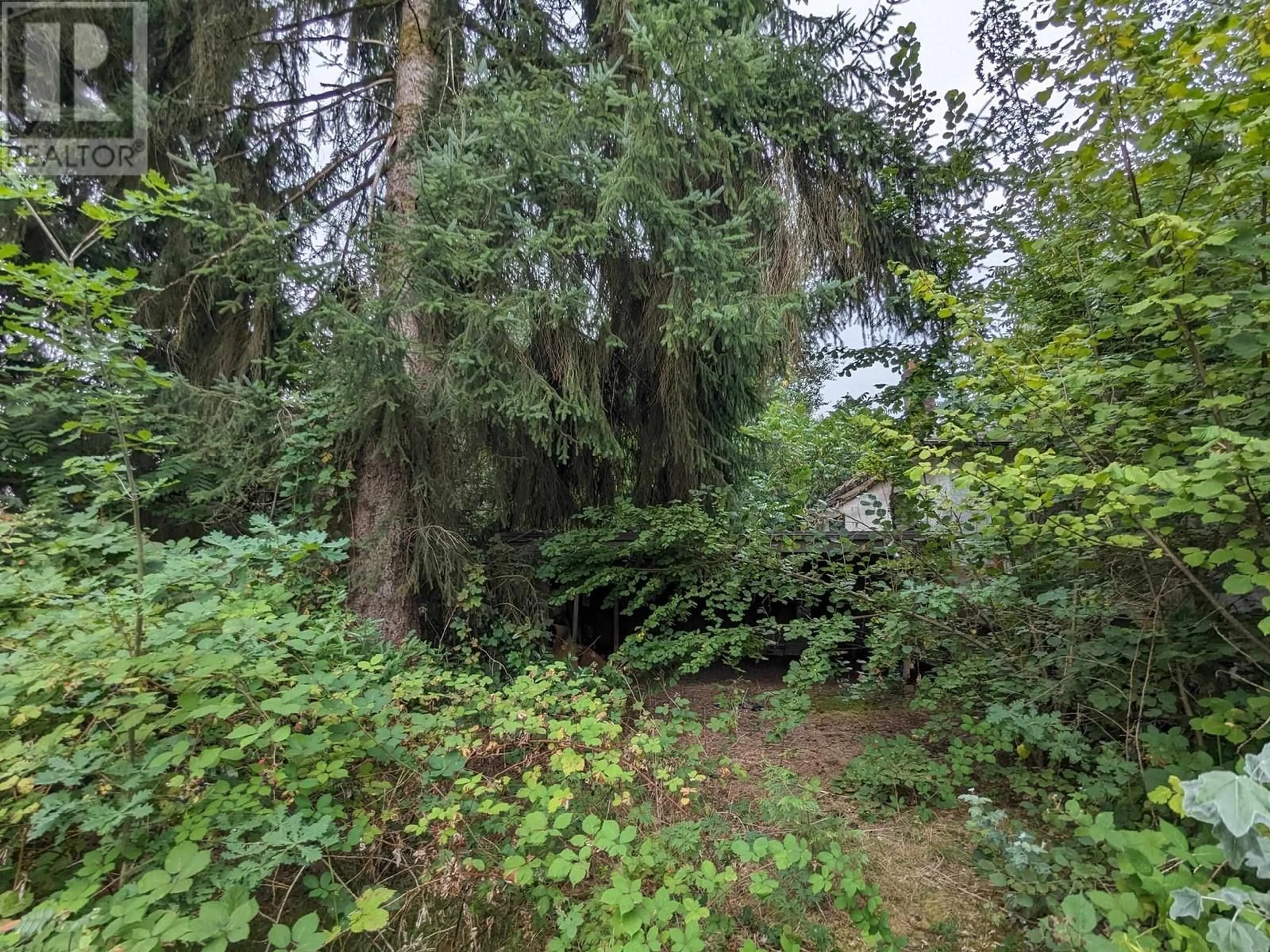 A pic from outside/outdoor area/front of a property/back of a property/a pic from drone, forest/trees view for 570 PRAIRIE AVENUE, Port Coquitlam British Columbia V3E0A6