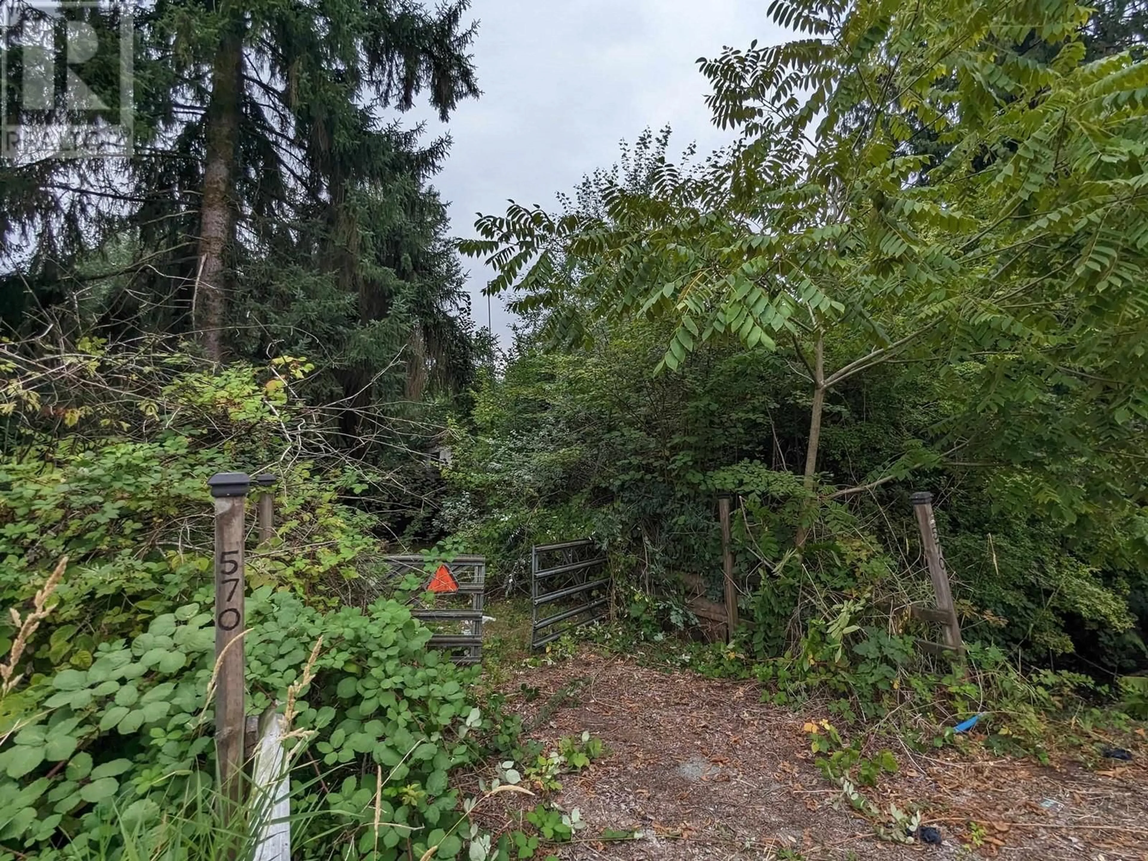 A pic from outside/outdoor area/front of a property/back of a property/a pic from drone, forest/trees view for 570 PRAIRIE AVENUE, Port Coquitlam British Columbia V3E0A6