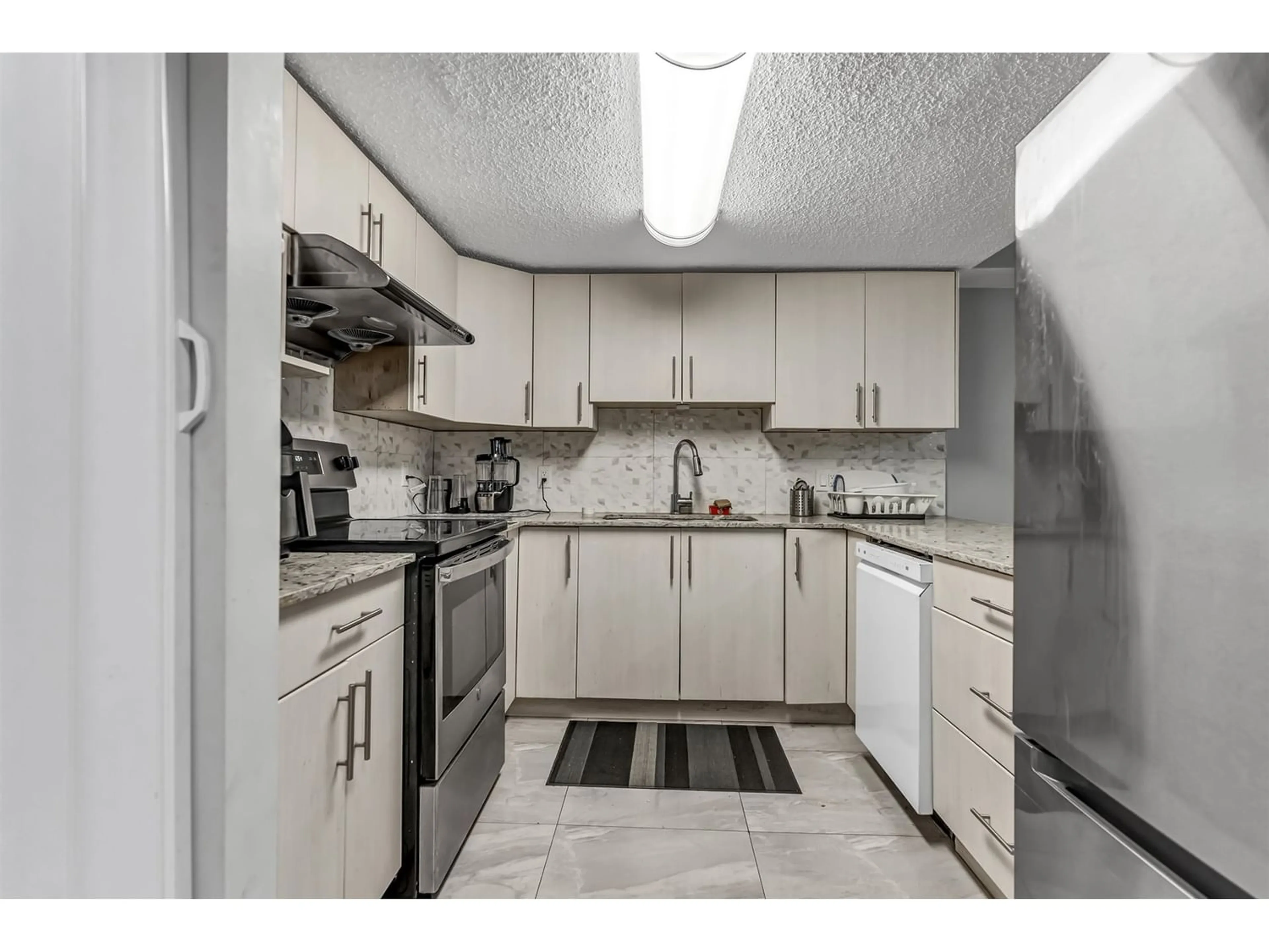 Standard kitchen for 102 7139 133A STREET, Surrey British Columbia V3W7Z2