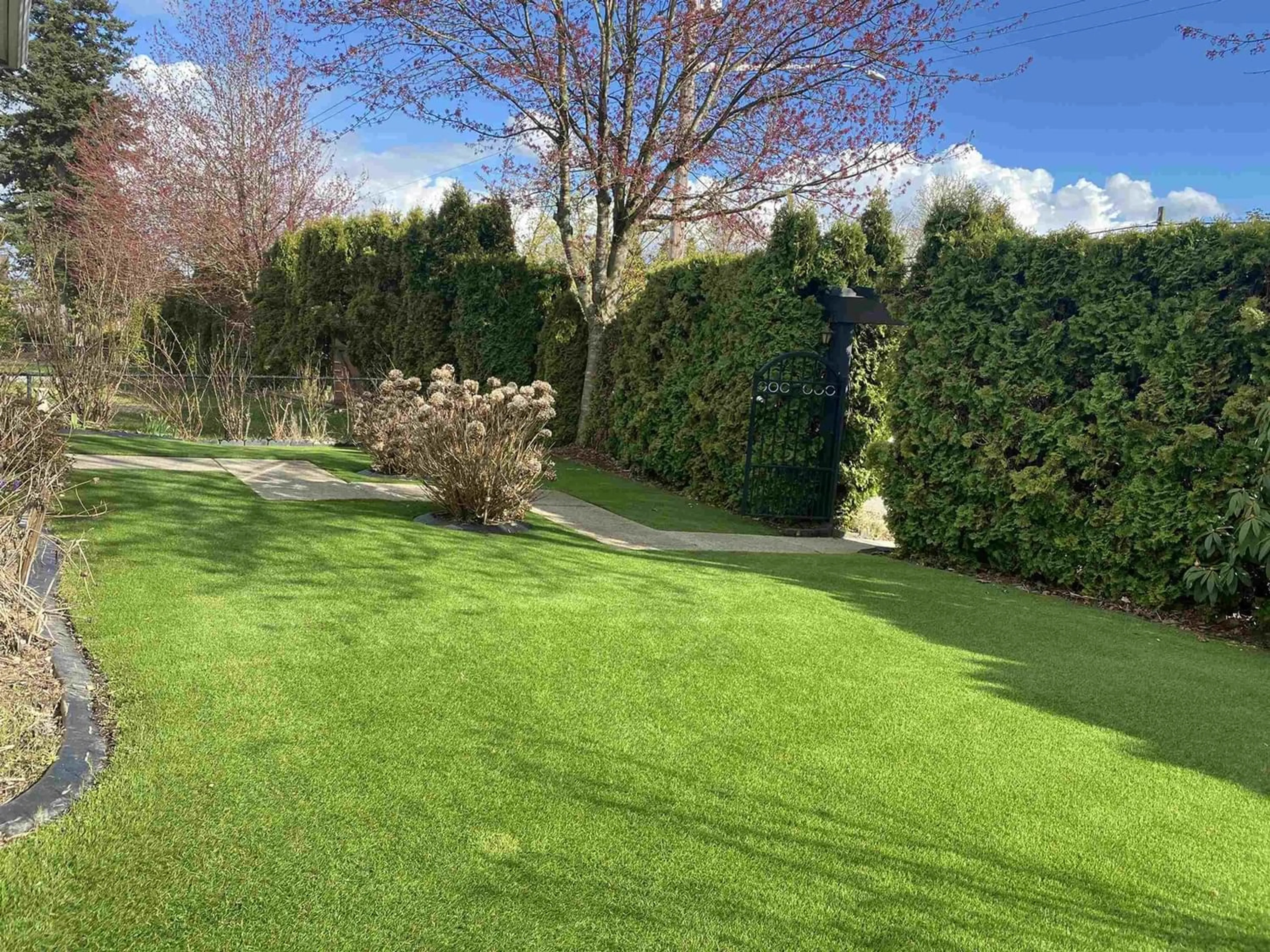 A pic from outside/outdoor area/front of a property/back of a property/a pic from drone, forest/trees view for 14695 72 AVENUE, Surrey British Columbia V3S2E8