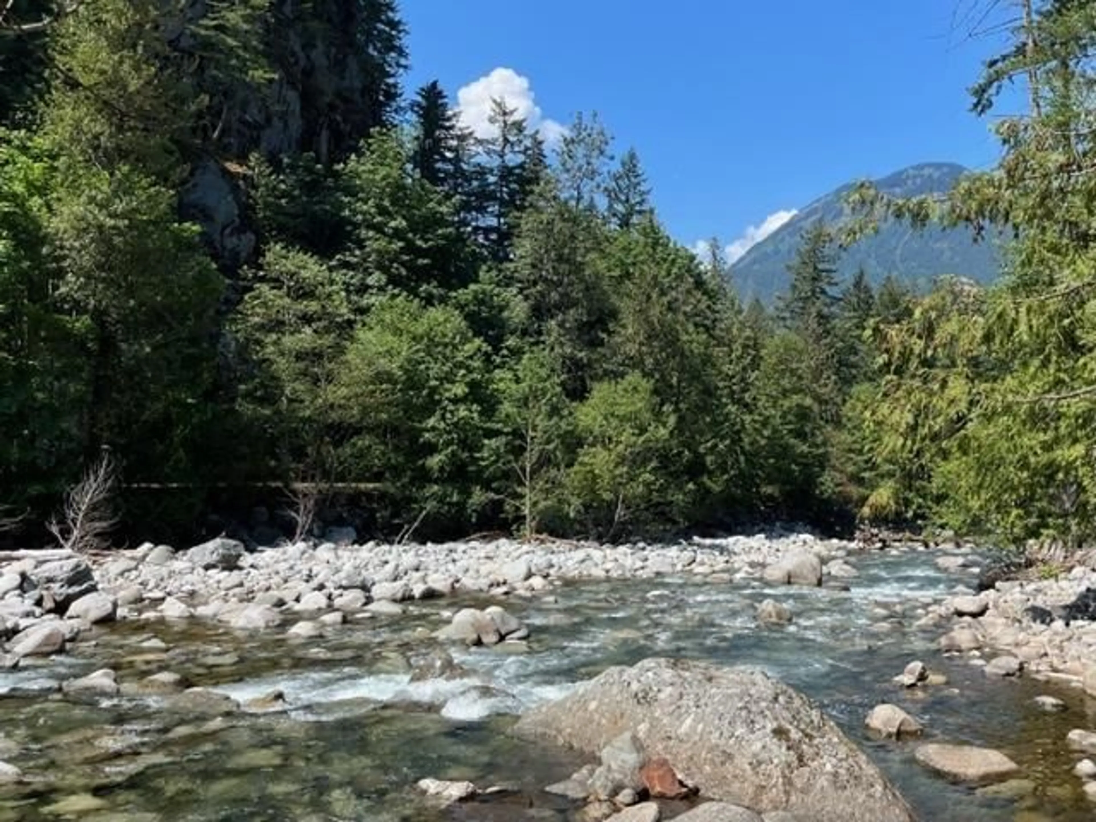 A pic of a room, not visible floor for 20 19743 FOSTER ROAD|Hope, Hope British Columbia V0X1L2