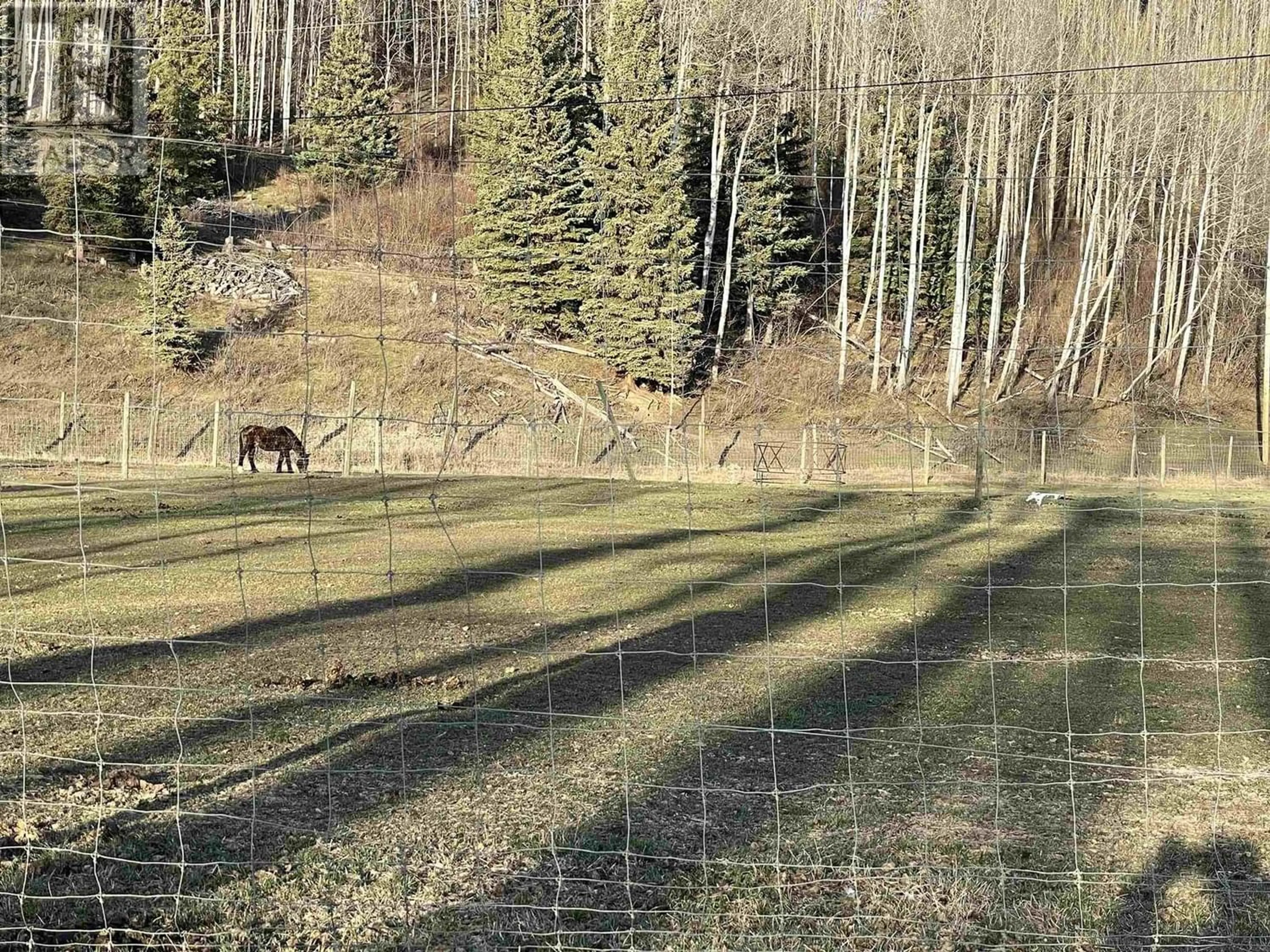 Fenced yard for 7919 SEINEN ROAD, Houston British Columbia V0J1Z1