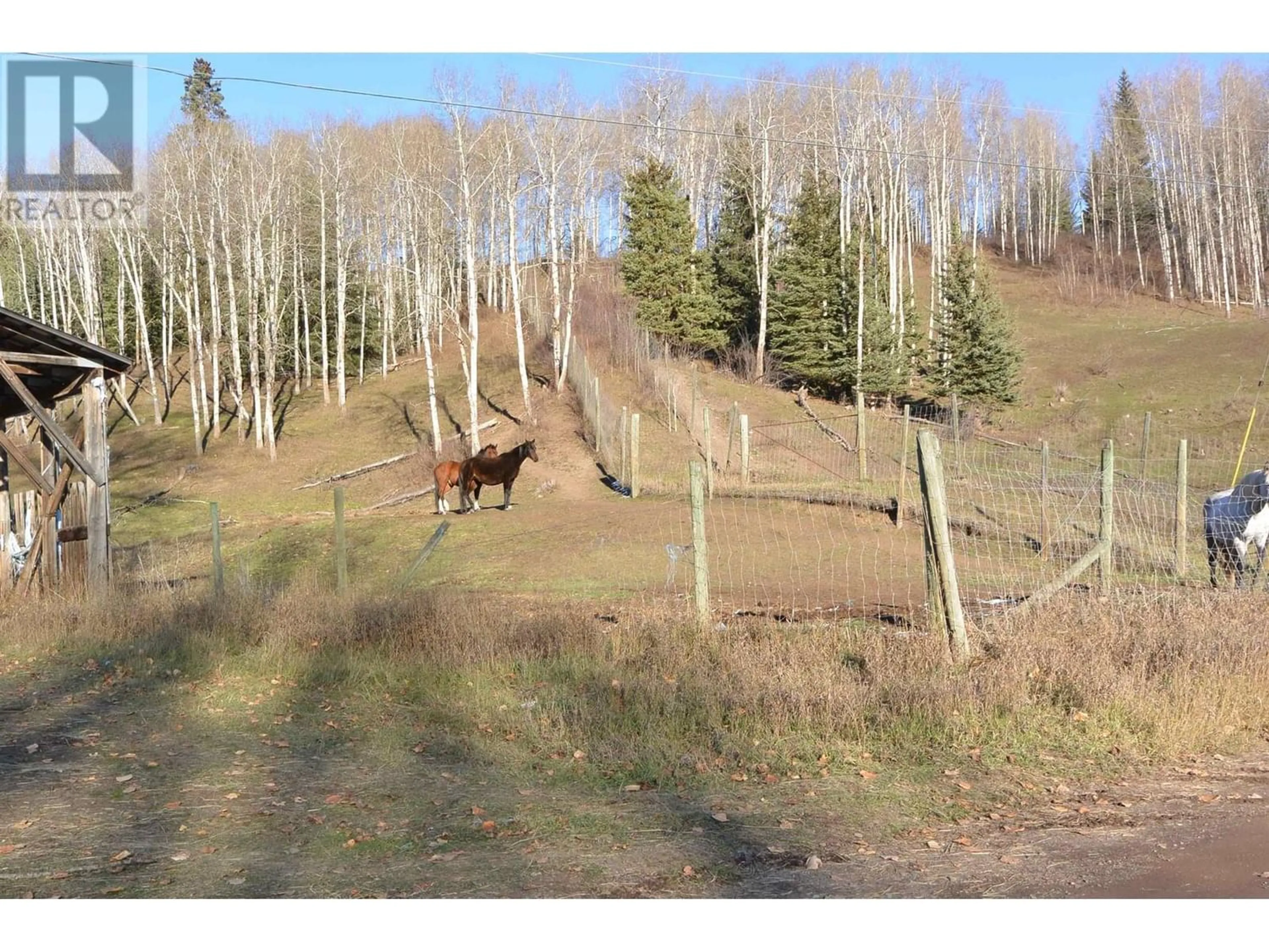 Fenced yard for 7919 SEINEN ROAD, Houston British Columbia V0J1Z1