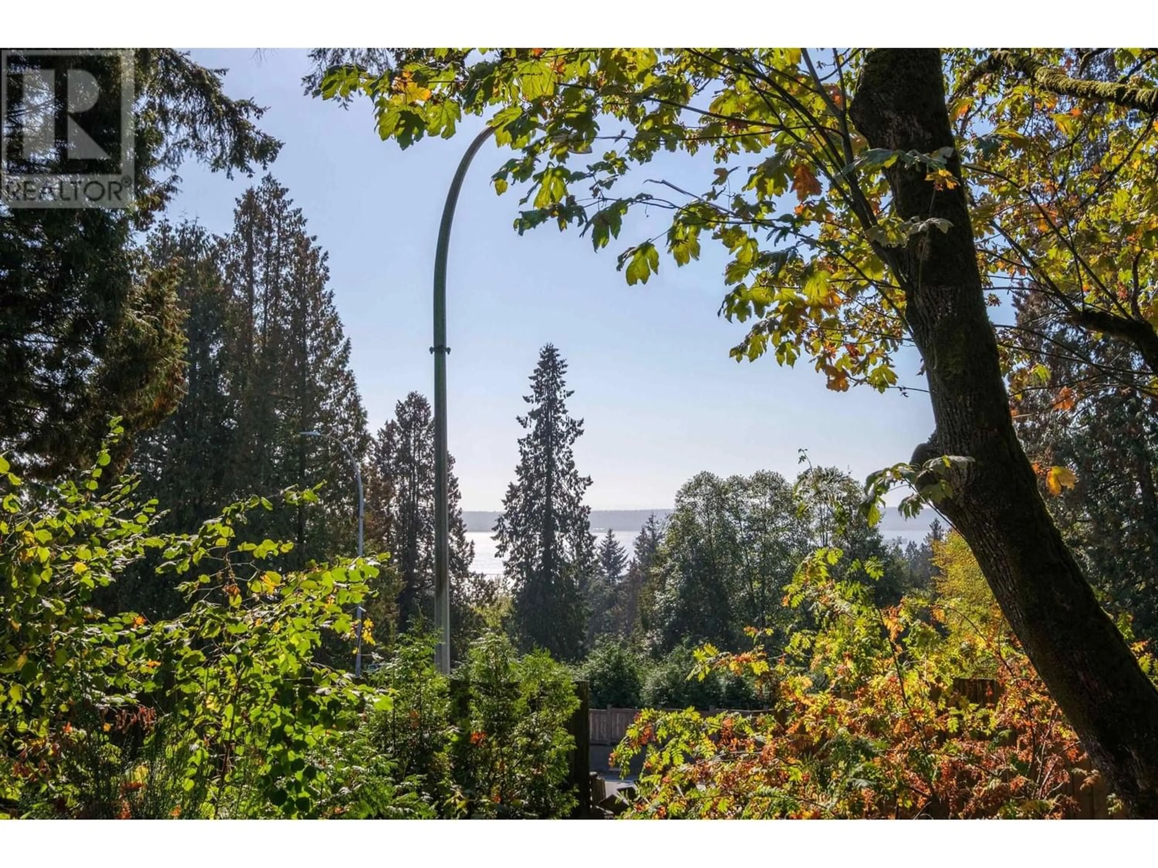 Forest view for 1290 QUEENS AVENUE, West Vancouver British Columbia V7S2K5