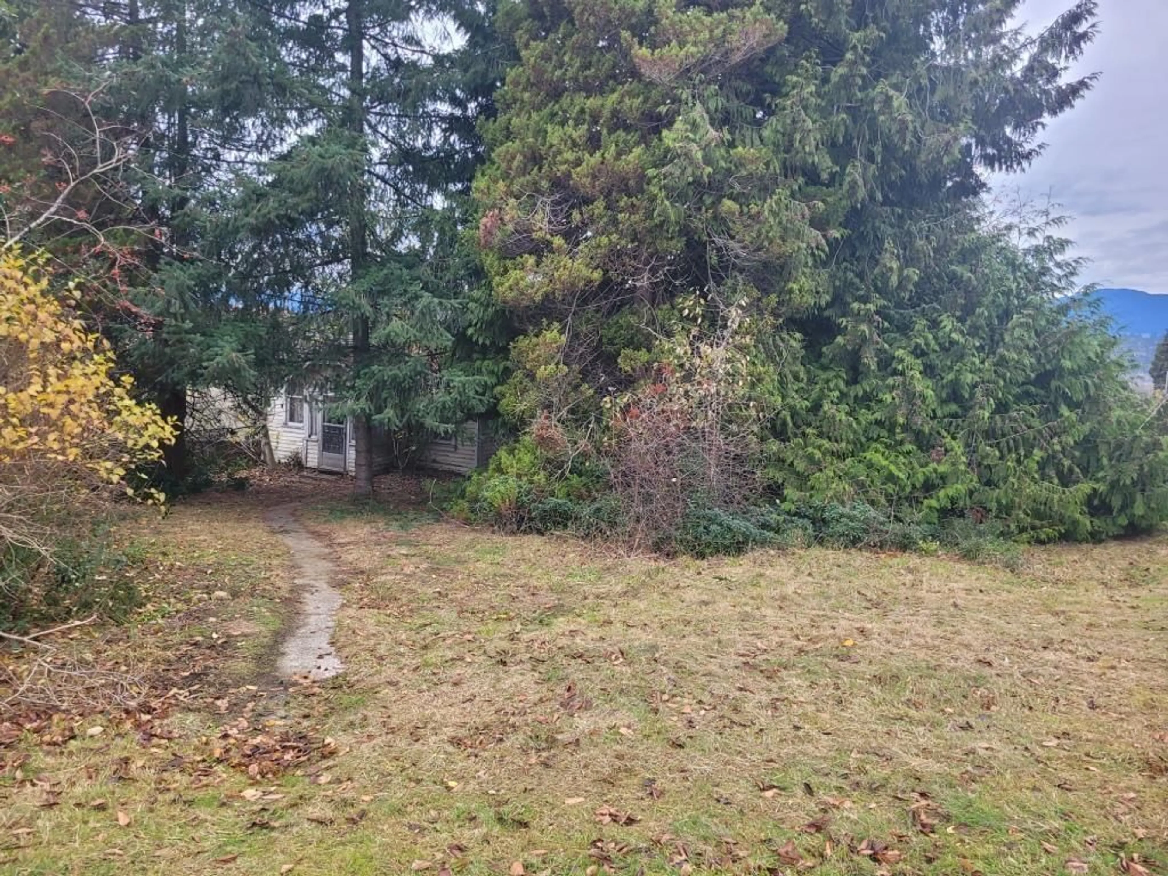 Fenced yard for 13691 113 AVENUE, Surrey British Columbia V3R2J2