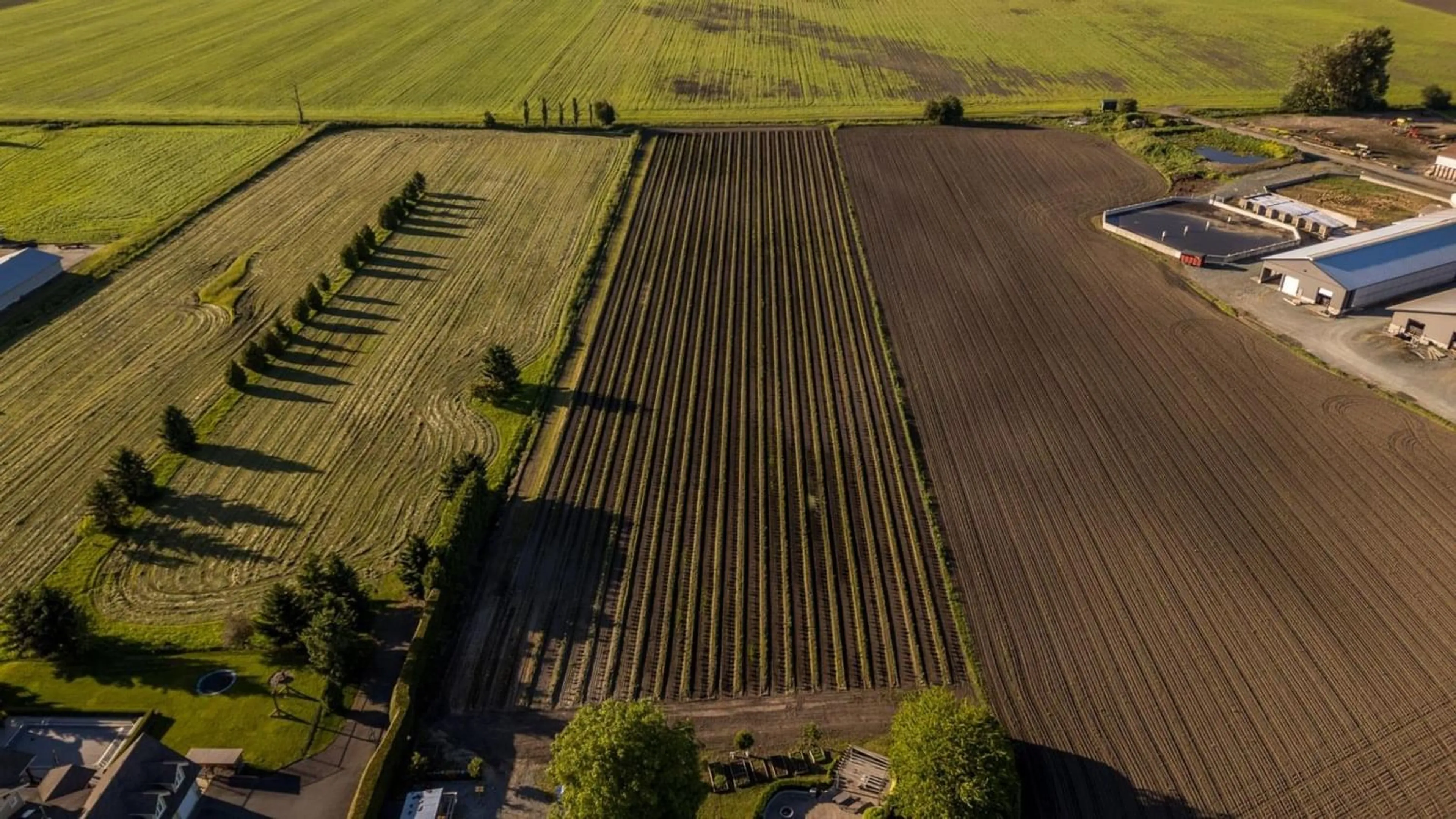 Patio, the fenced backyard for 42505 YALE ROAD|Greendale, Chilliwack British Columbia V2R4J4