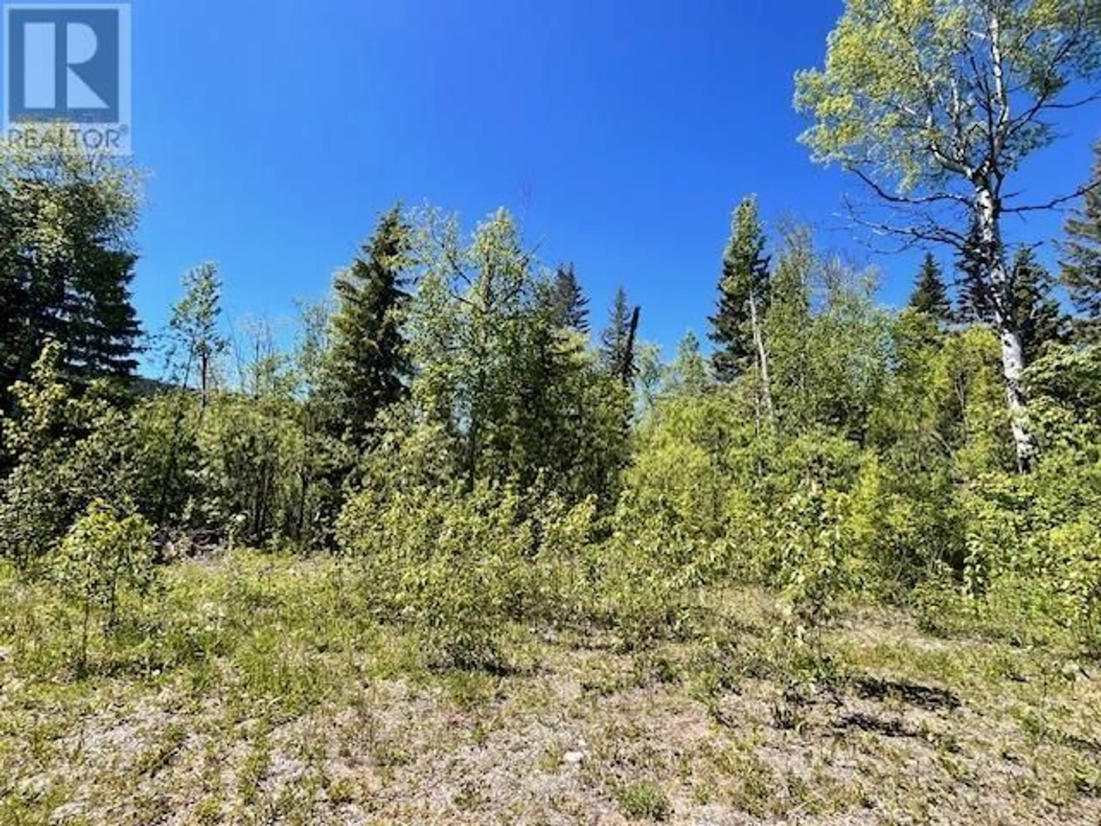 Forest view for 4578-4586 QUESNEL-HYDRAULIC ROAD, Quesnel British Columbia V2J6P7