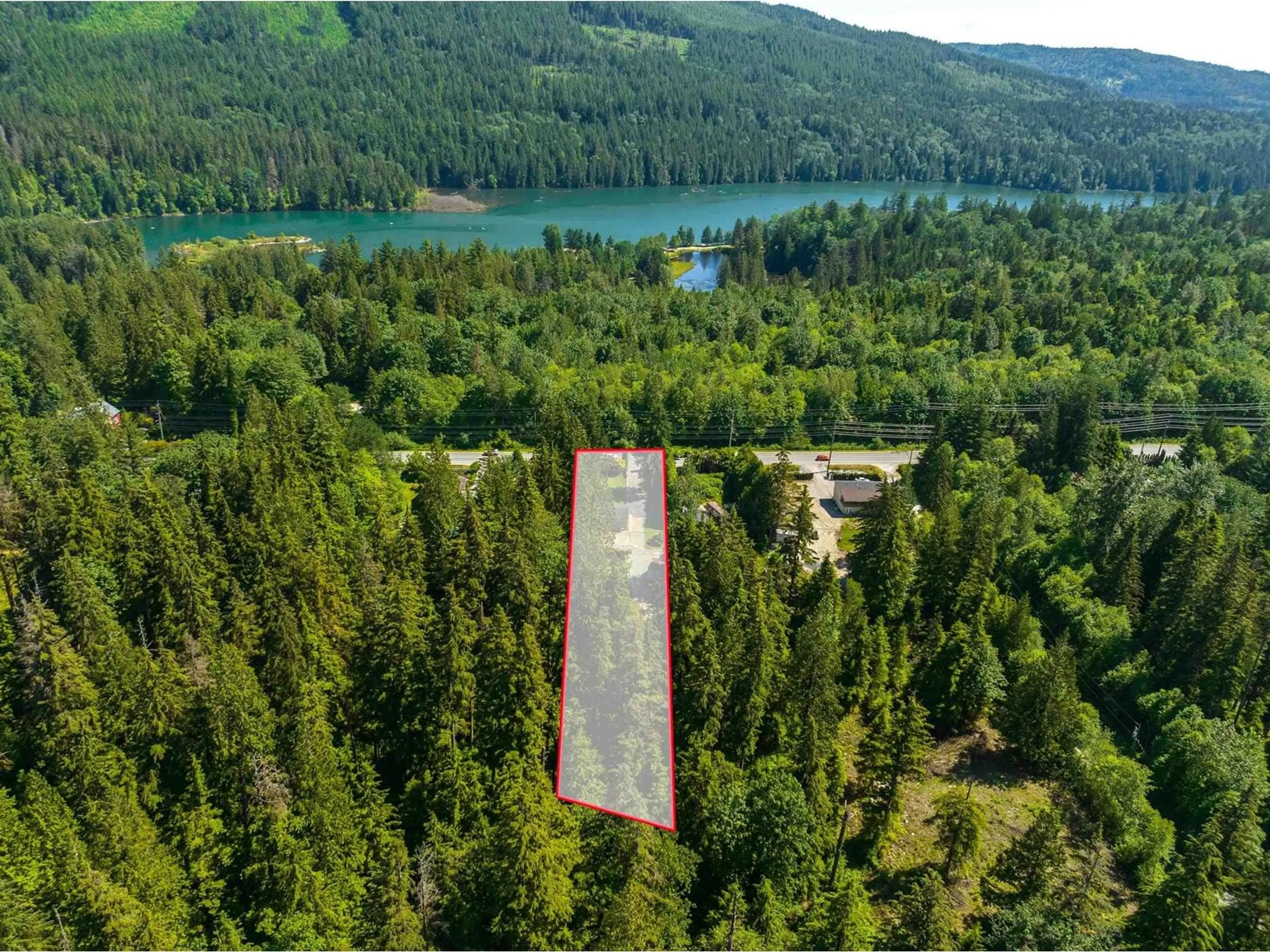 Forest view for 31113 DEWDNEY TRUNK ROAD, Mission British Columbia V4S1C4