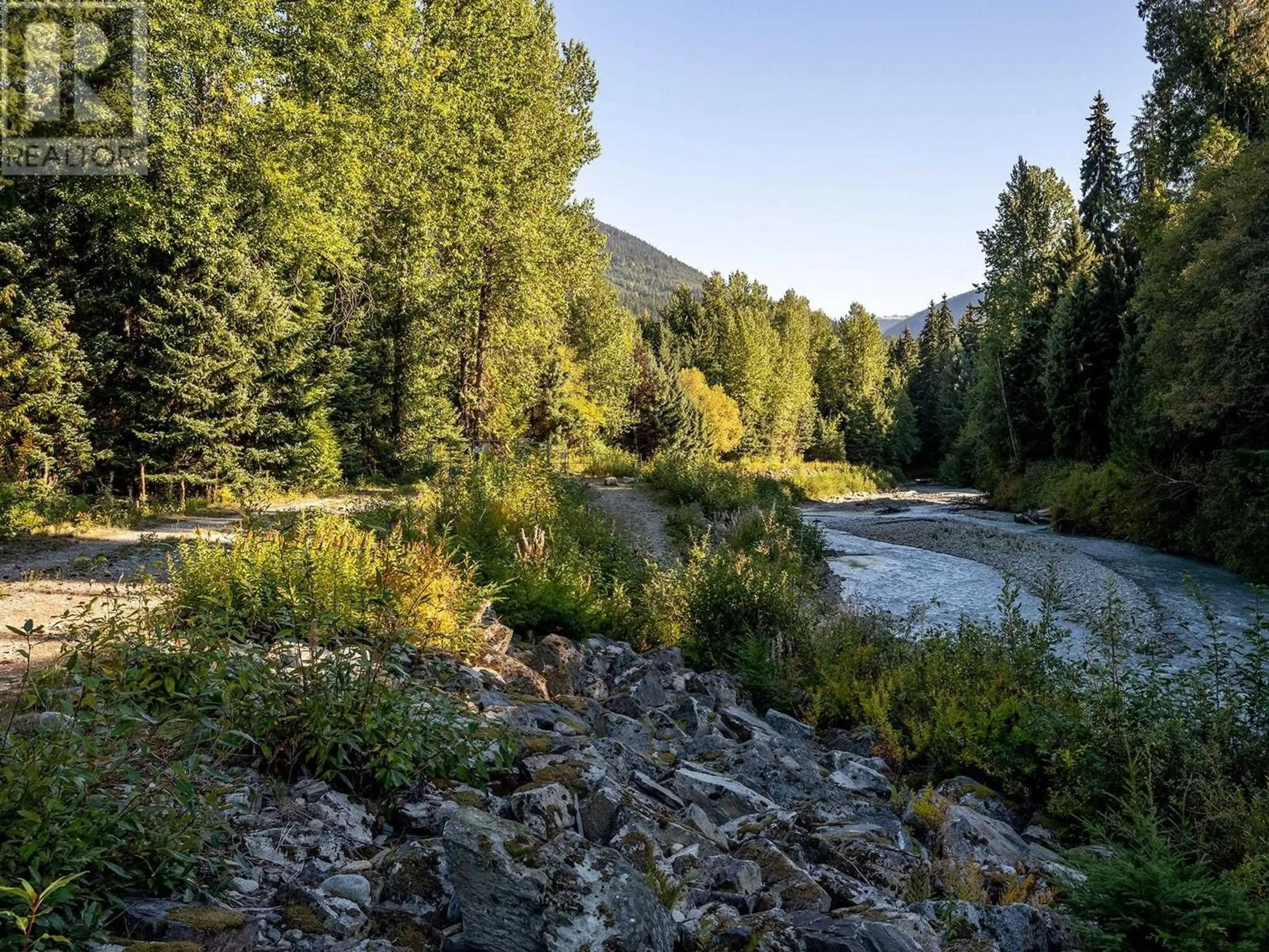 Forest view for 7289 SOUTH FITZSIMMONS ROAD, Whistler British Columbia V8E0C5