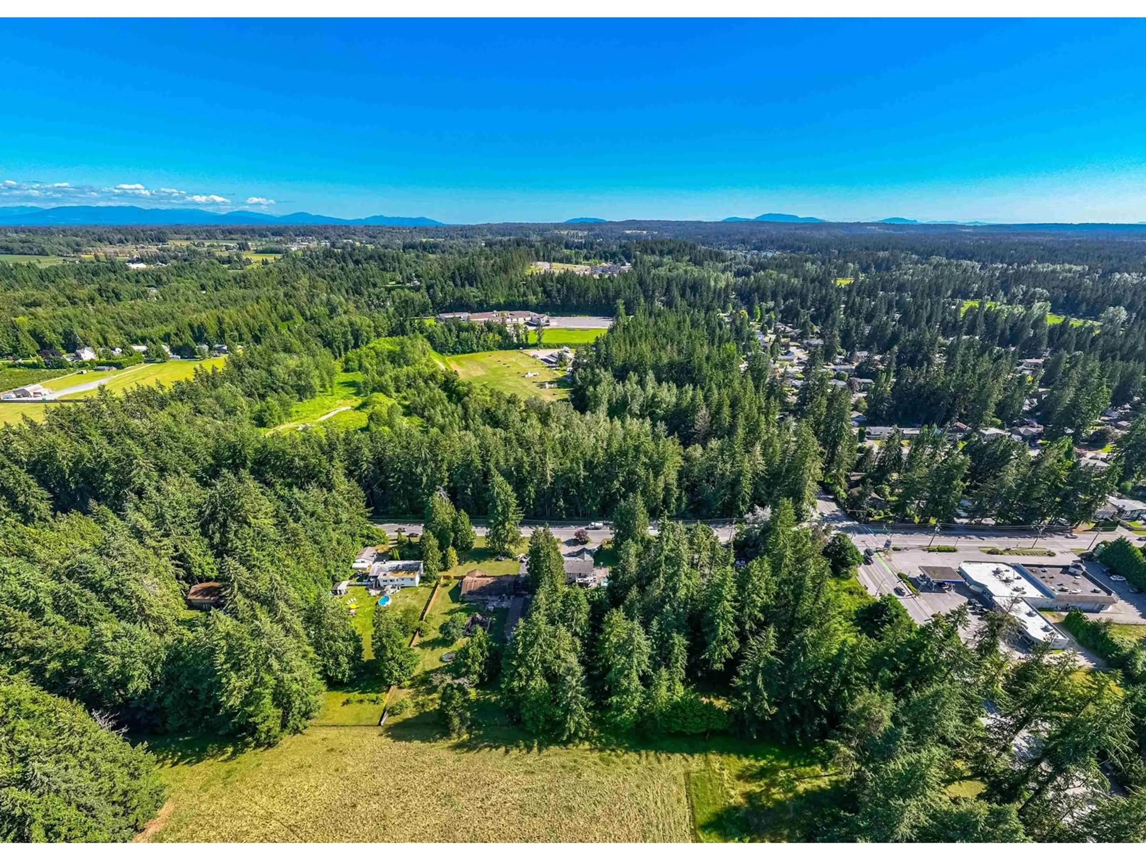 A pic from outside/outdoor area/front of a property/back of a property/a pic from drone, forest/trees view for 20897 40 AVENUE, Langley British Columbia V3A8N9