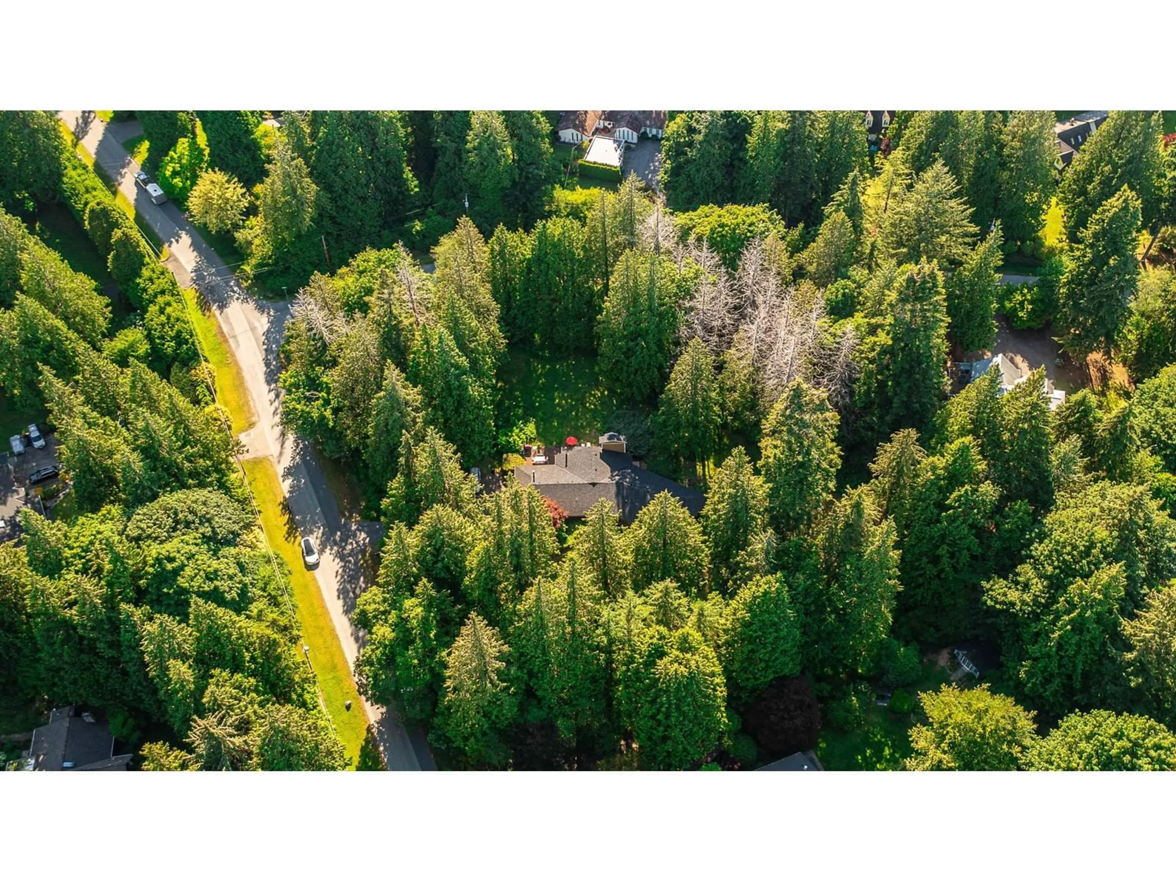 A pic from outside/outdoor area/front of a property/back of a property/a pic from drone, forest/trees view for 13425 WOODCREST, Surrey British Columbia V4P1W3