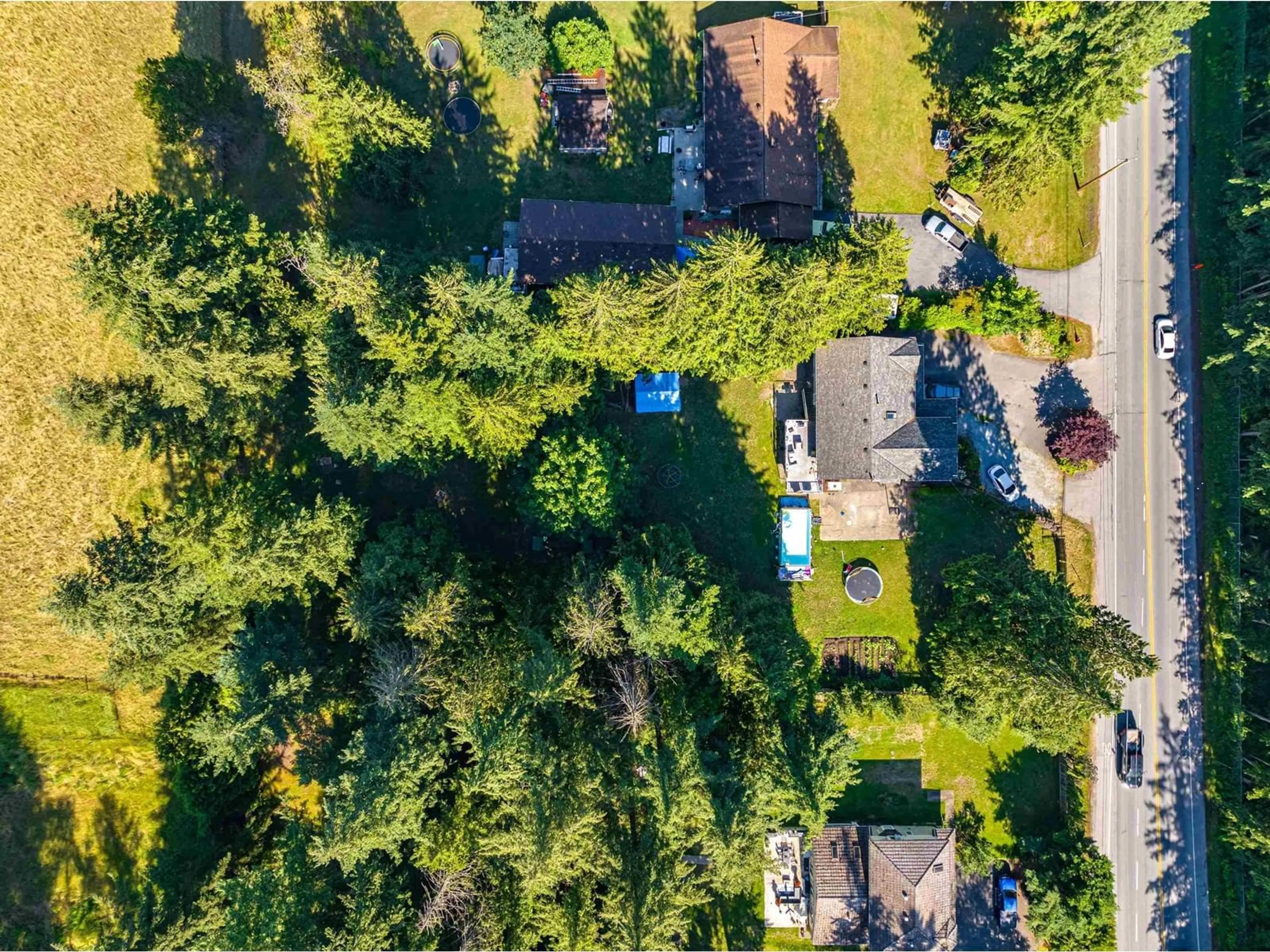 A pic from outside/outdoor area/front of a property/back of a property/a pic from drone, forest/trees view for 20859 40 AVENUE, Langley British Columbia V3A8N9