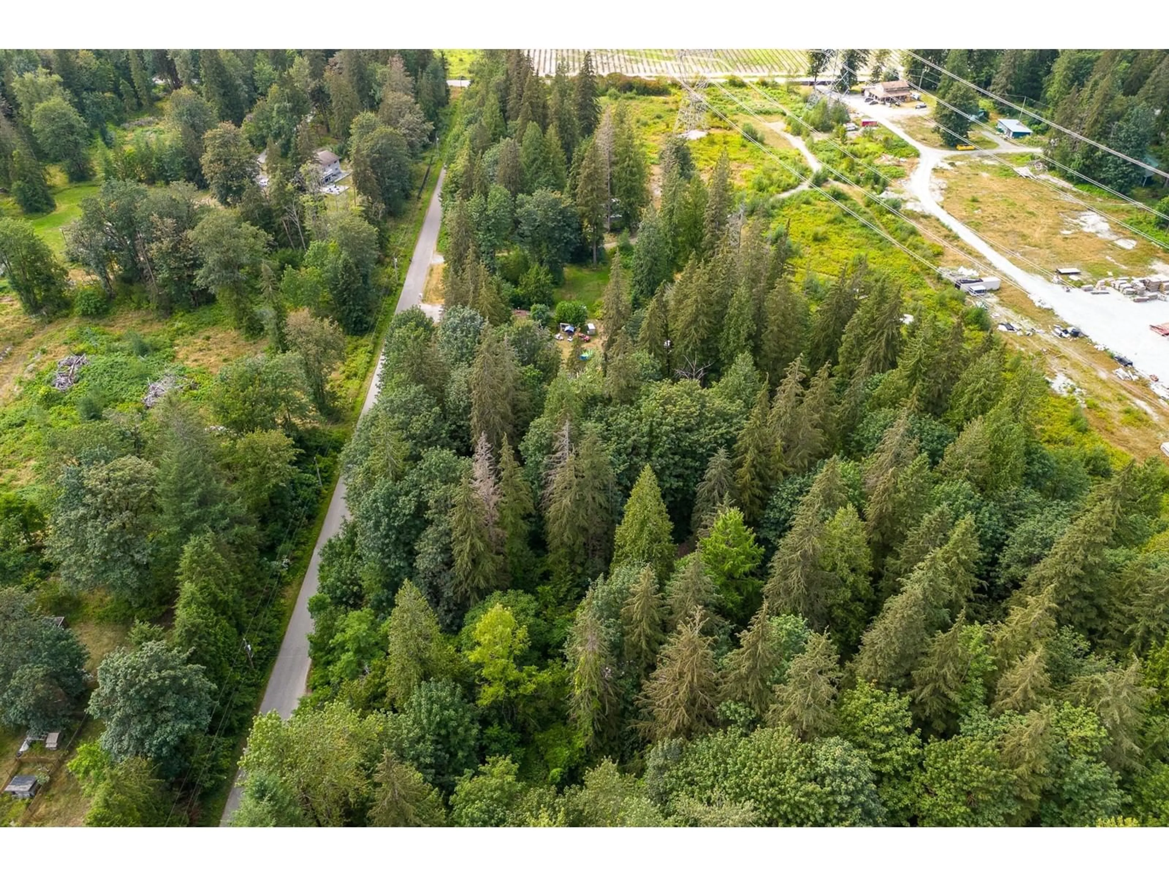 A pic from outside/outdoor area/front of a property/back of a property/a pic from drone, forest/trees view for 36111 RIDGEVIEW, Mission British Columbia V2V4J1