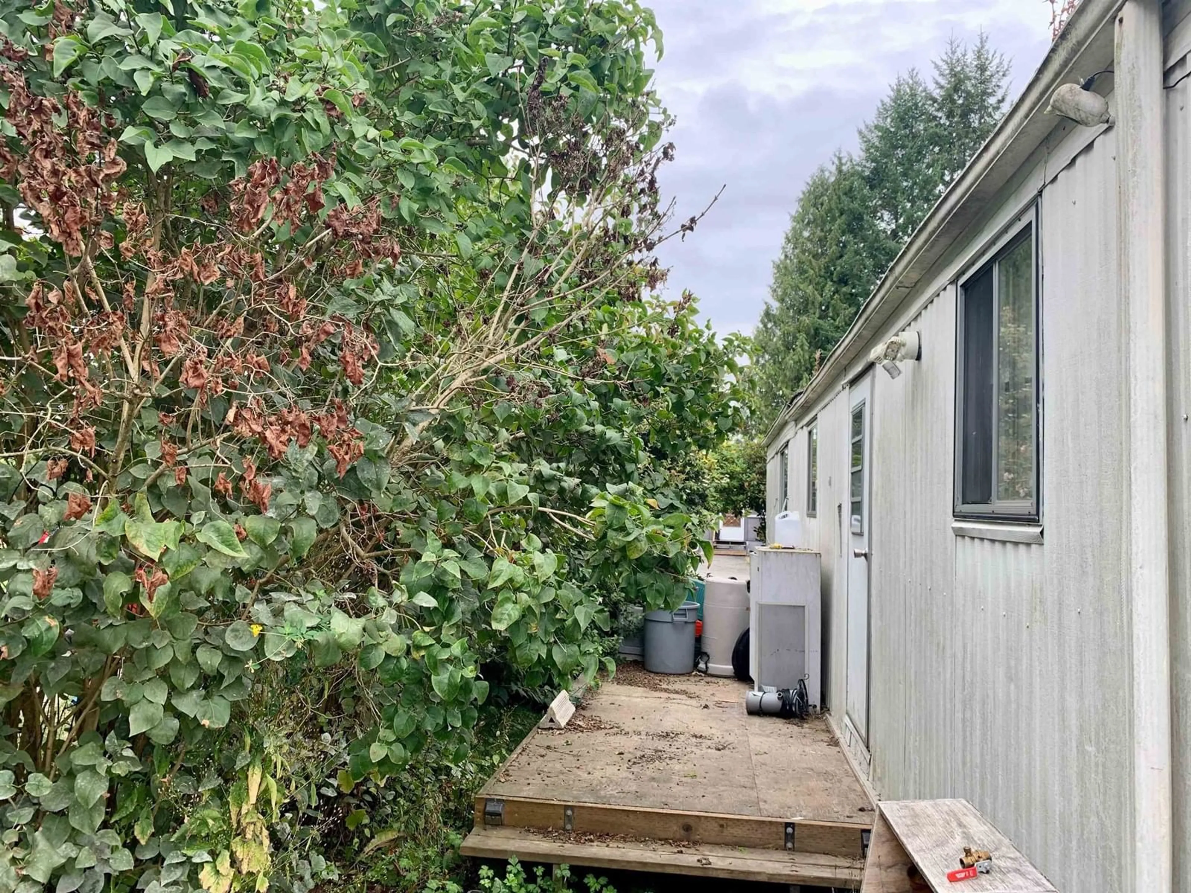 Unknown for 11 - 23387 70A, Langley British Columbia V2Y2J2