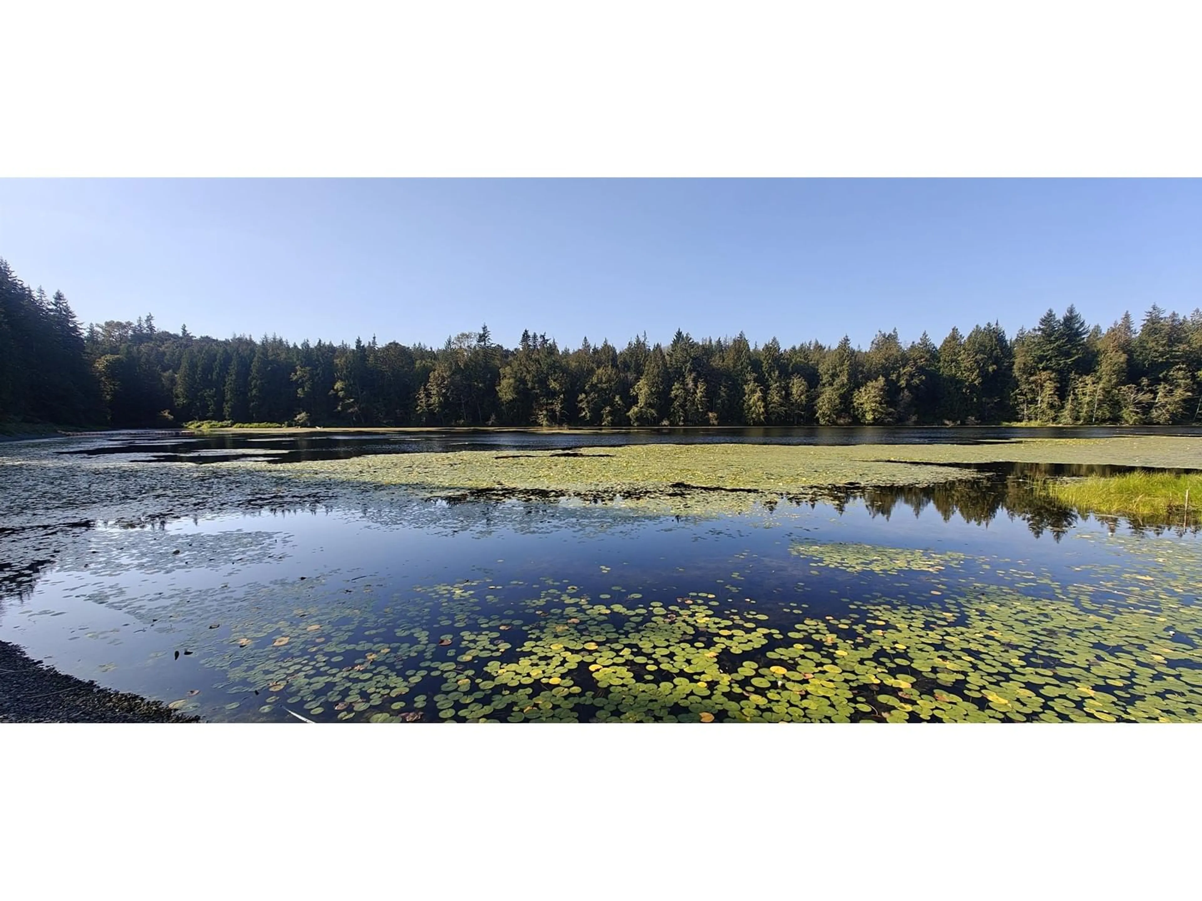 Unknown for 23455 8, Langley British Columbia V2Z2X9