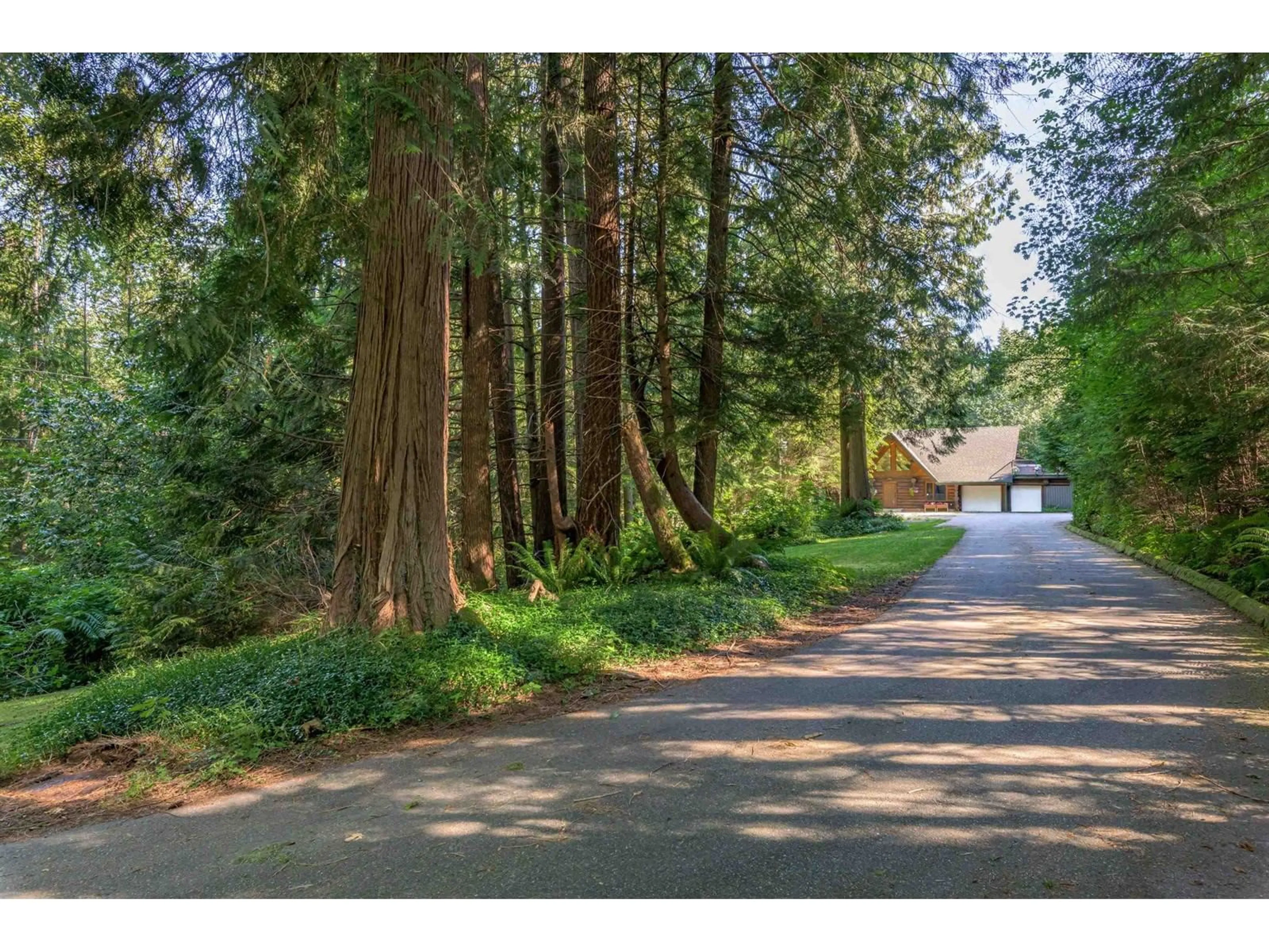 Frontside or backside of a home, the street view for 11108 GREENWOOD DRIVE, Mission British Columbia V4S1A9