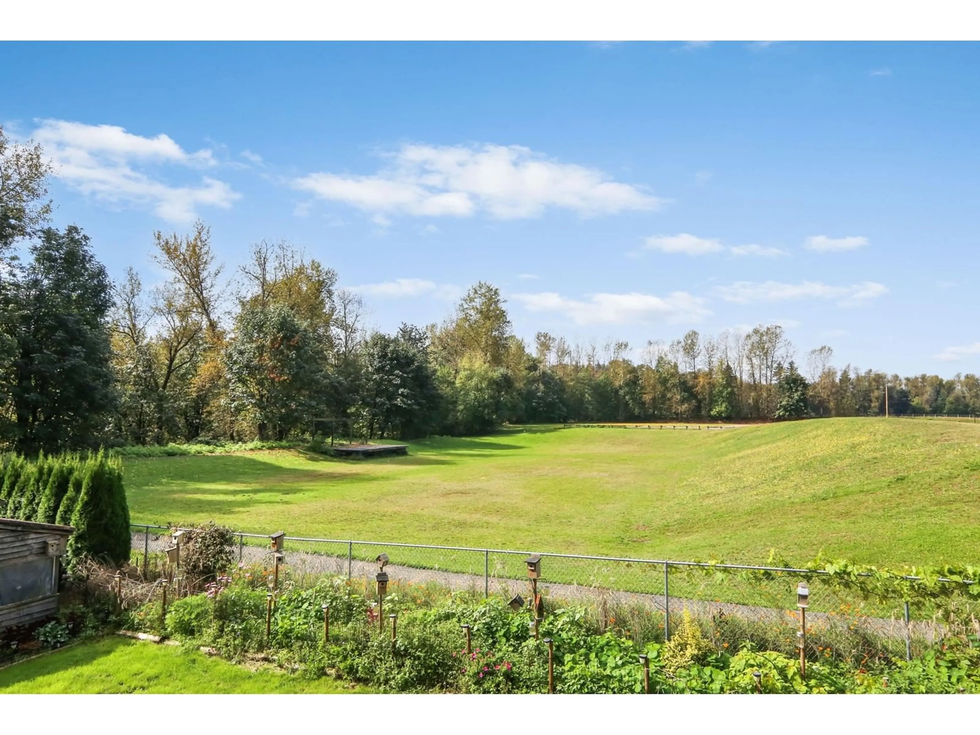 A pic from exterior of the house or condo, the fenced backyard for 3877 BRIGHTON PLACE, Abbotsford British Columbia V2T6Y8