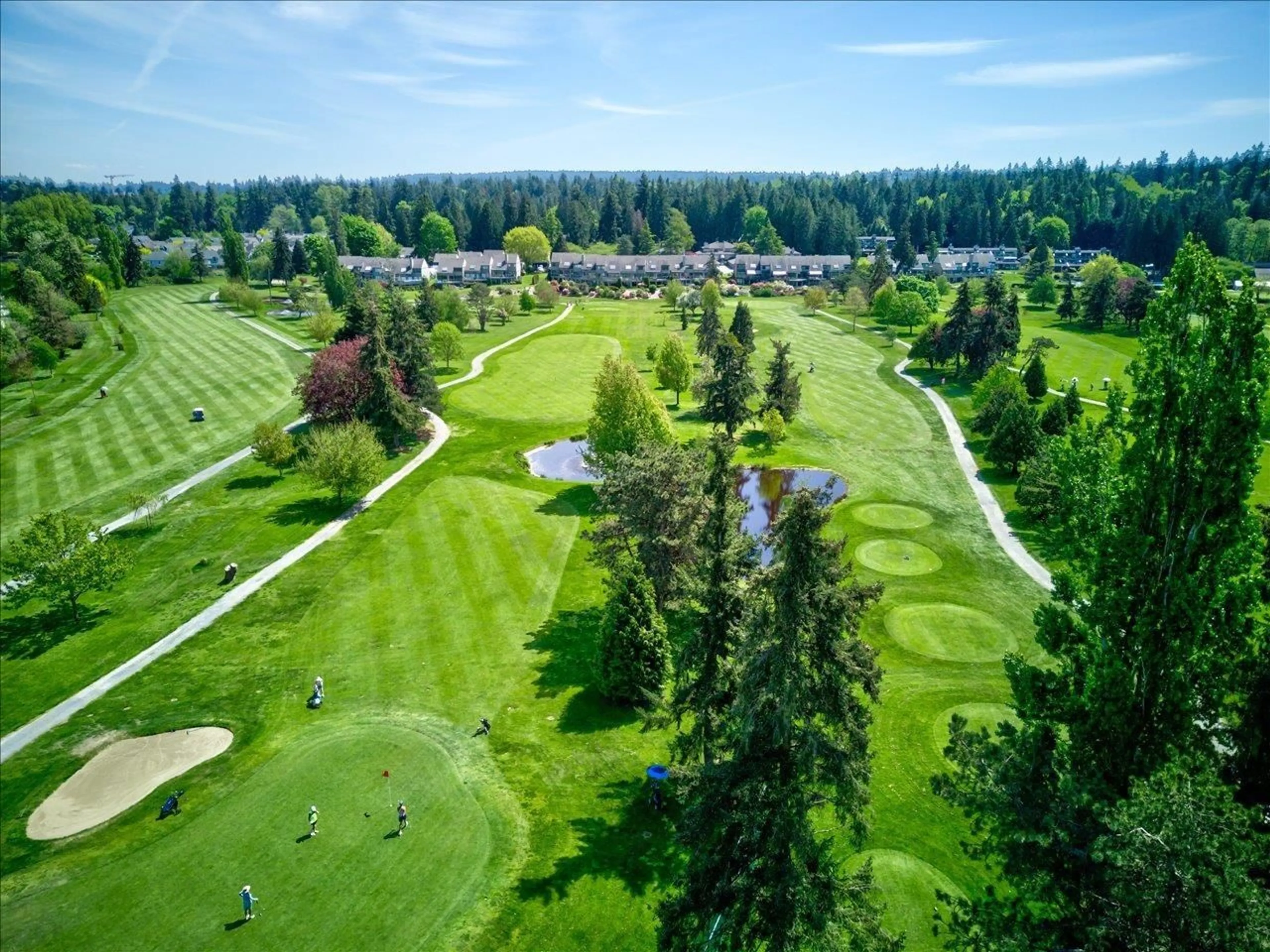 A pic from exterior of the house or condo, lake for 3746 NICO WYND DRIVE, Surrey British Columbia V4P1J3