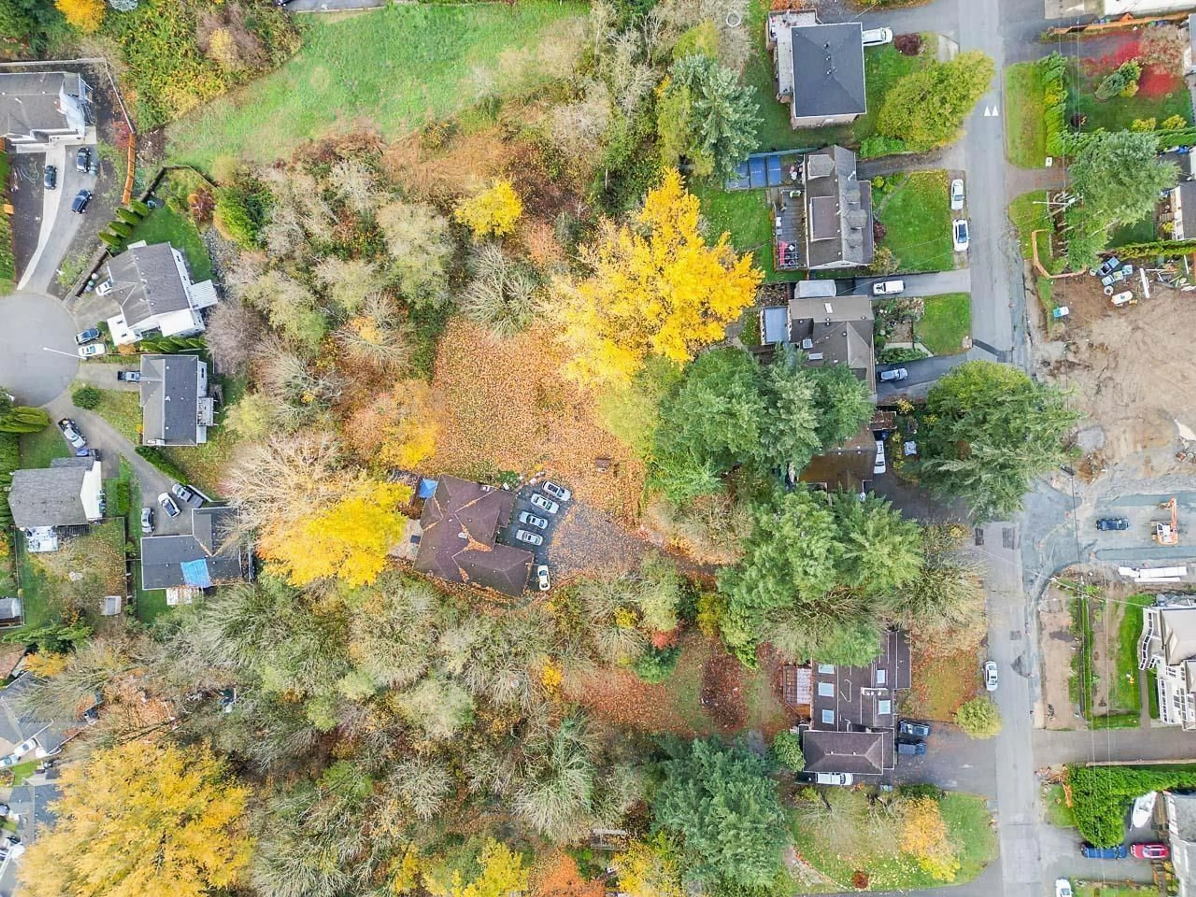 A pic from outside/outdoor area/front of a property/back of a property/a pic from drone, forest/trees view for 13851 115, Surrey British Columbia V3R5Y3