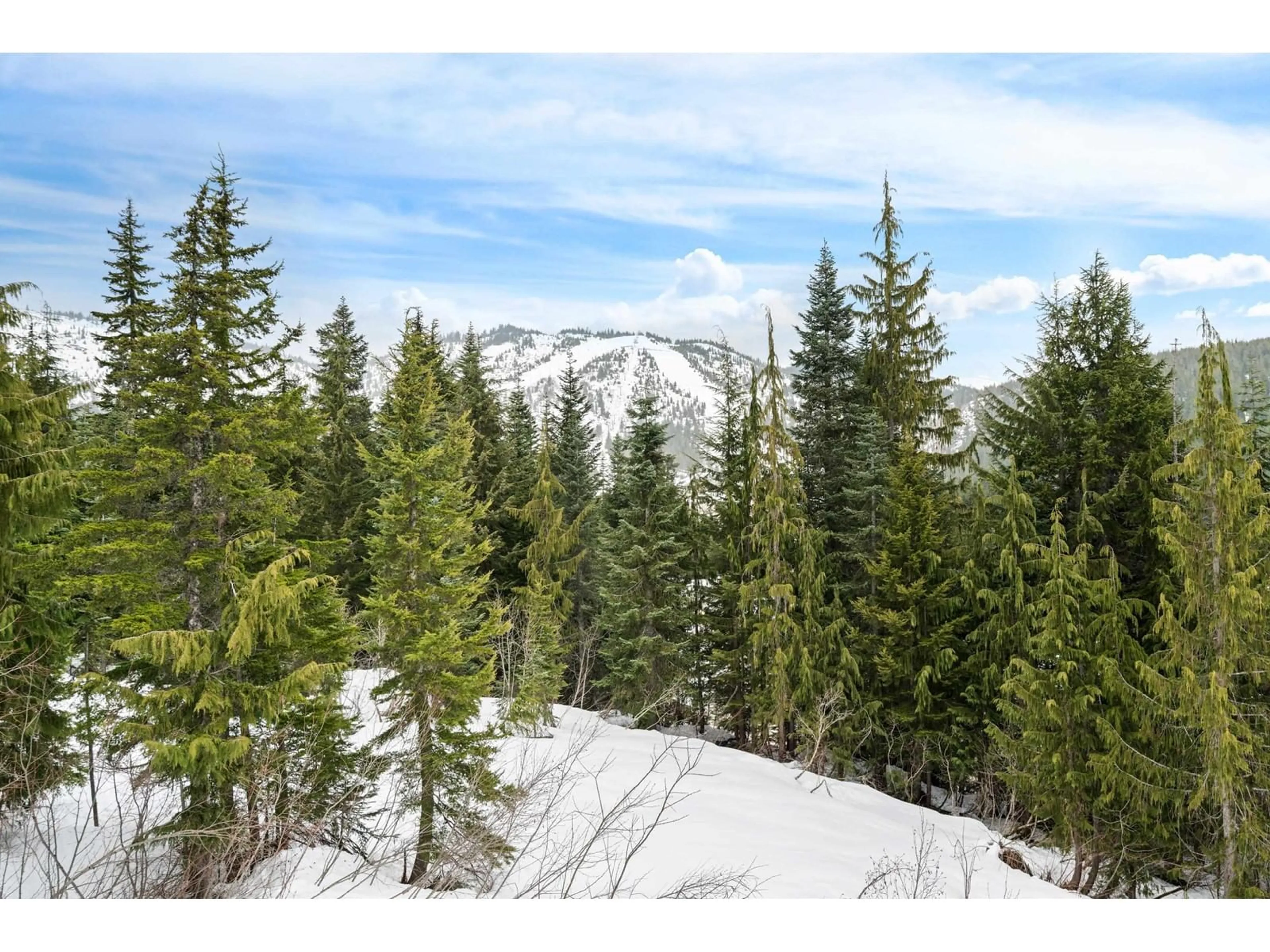 Unknown for 20758 EDELWEISS, Mission British Columbia V0M1A1