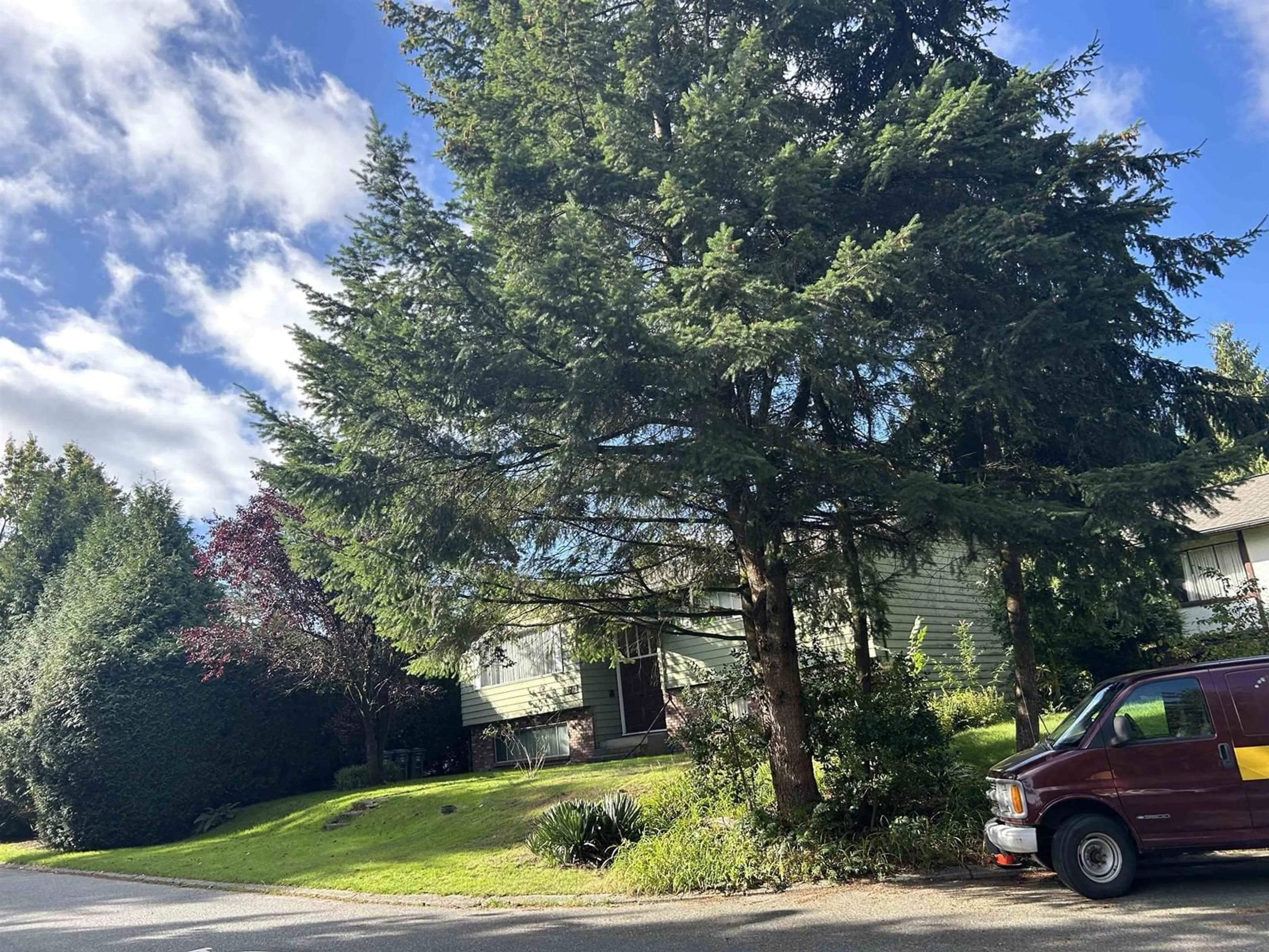 A pic from outside/outdoor area/front of a property/back of a property/a pic from drone, forest/trees view for 10287 144A, Surrey British Columbia V3R6M8