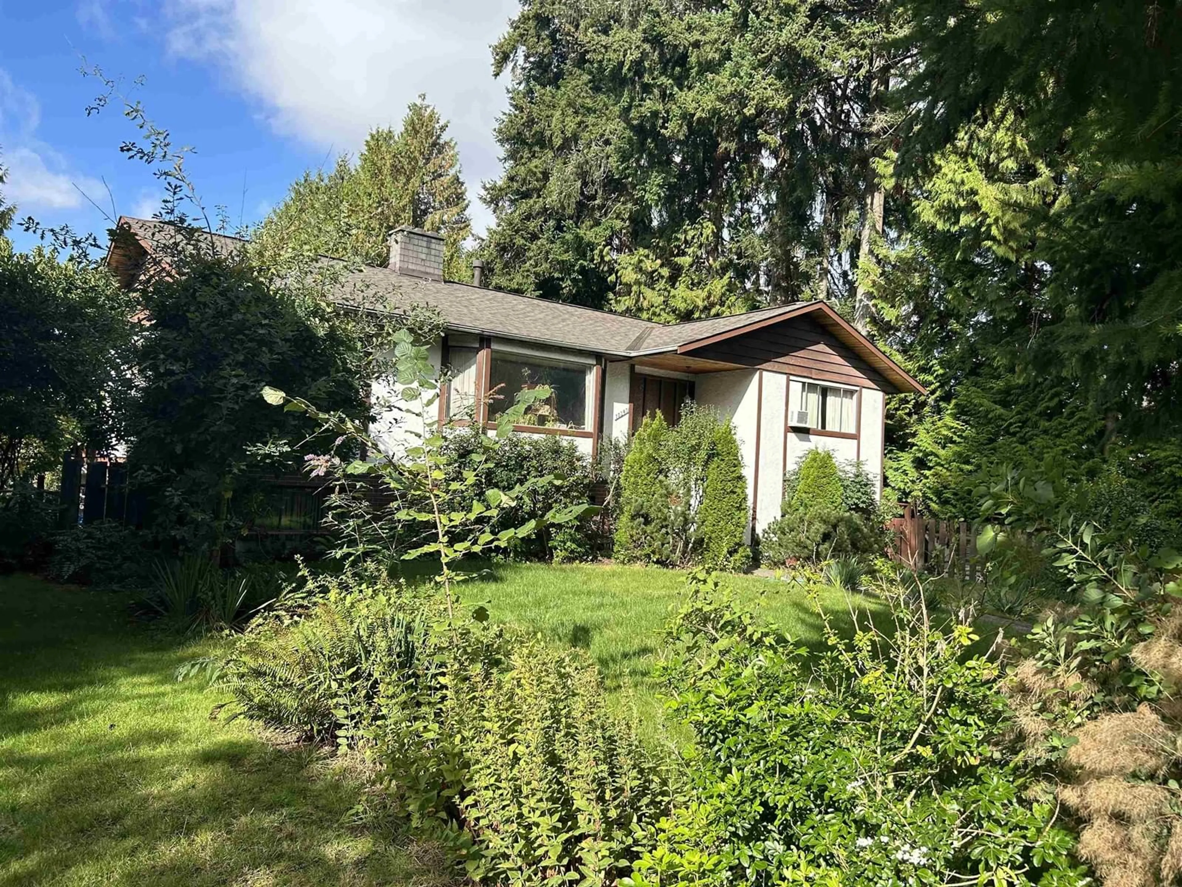 A pic from outside/outdoor area/front of a property/back of a property/a pic from drone, forest/trees view for 10287 144A, Surrey British Columbia V3R6M8